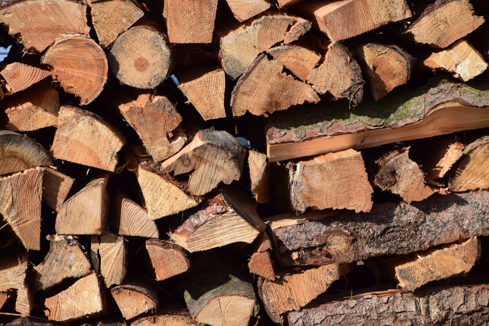Nikon D3300 sample photo. Wood, firewood, holzstapel photography
