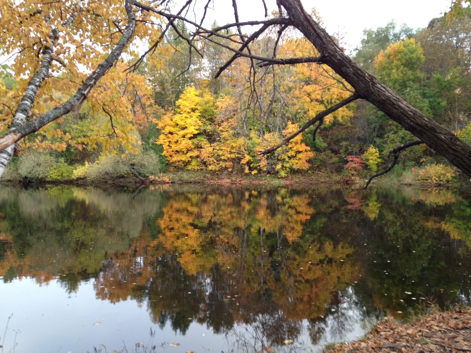 Apple iPhone 5c sample photo. Fall, lake, autumn photography