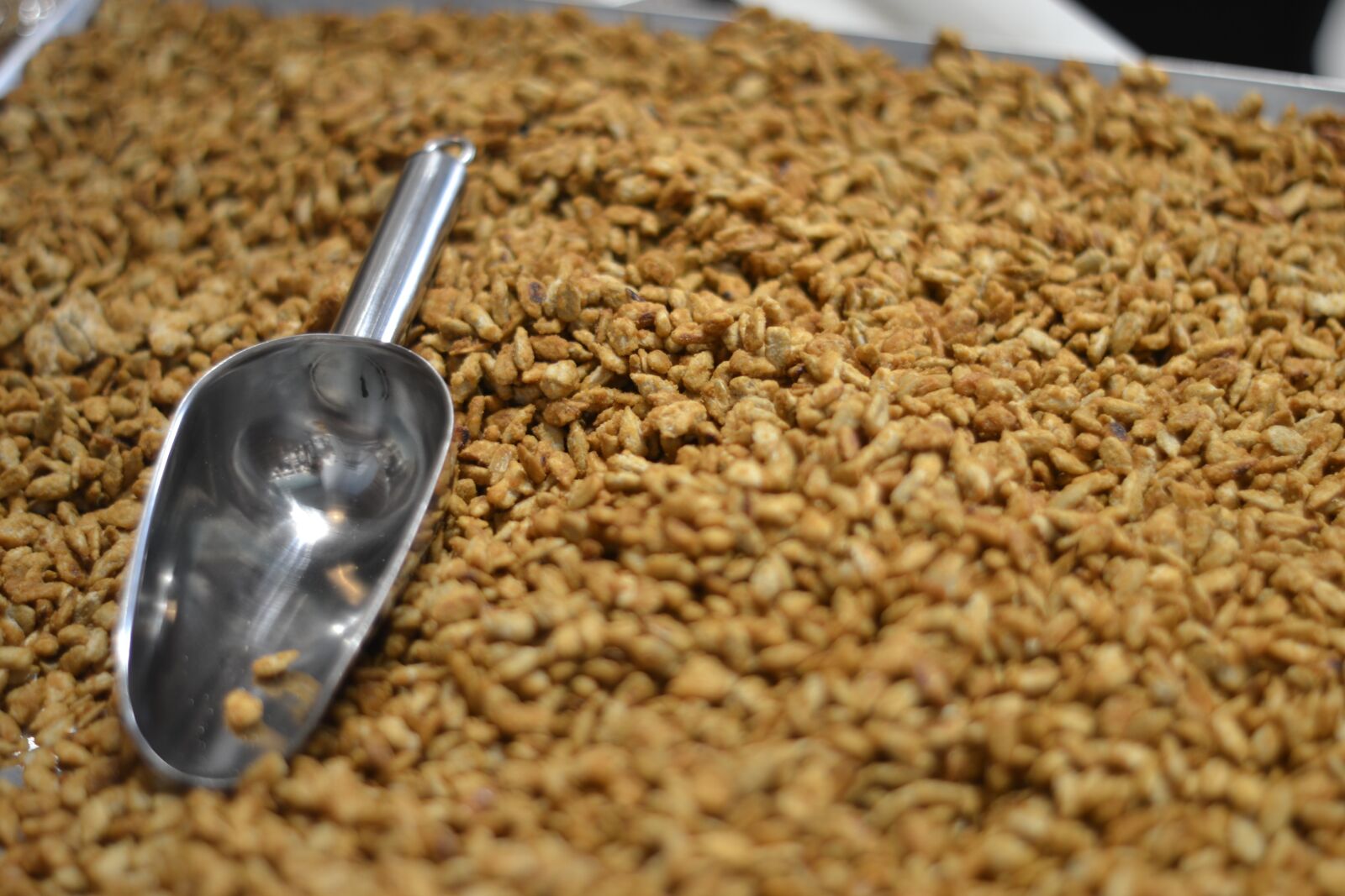Nikon D3100 sample photo. Grain, dried fruits, food photography
