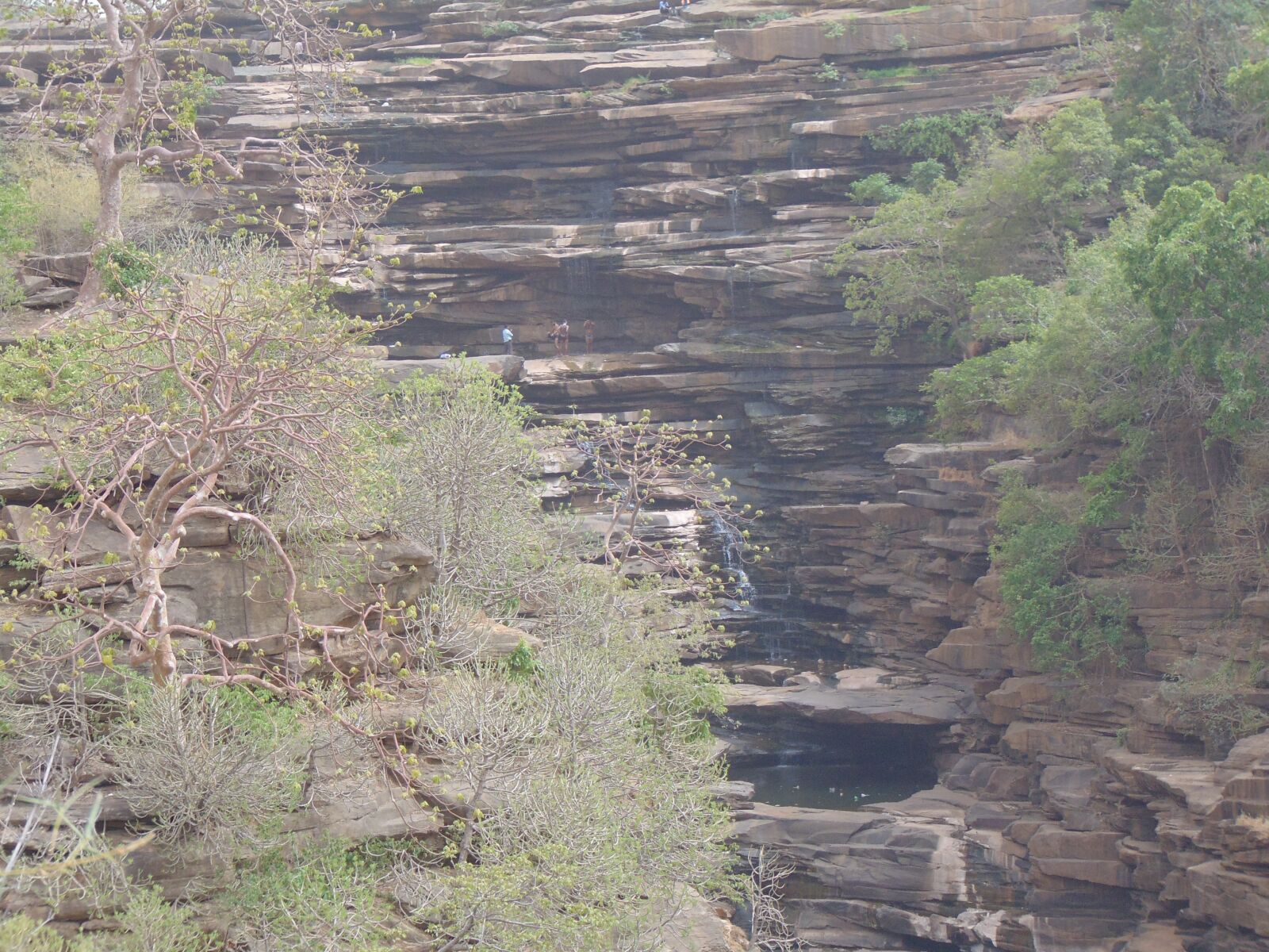 Sony Cyber-shot DSC-H300 sample photo. Forest, nature, waterfall photography