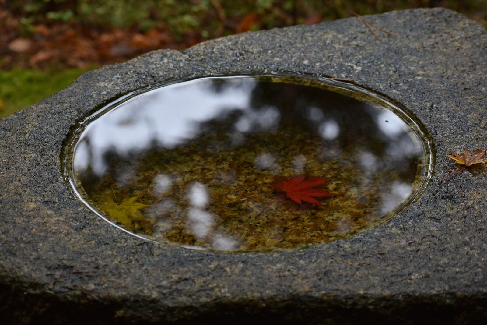 Nikon D7200 sample photo. Travel, japan garden, garden photography