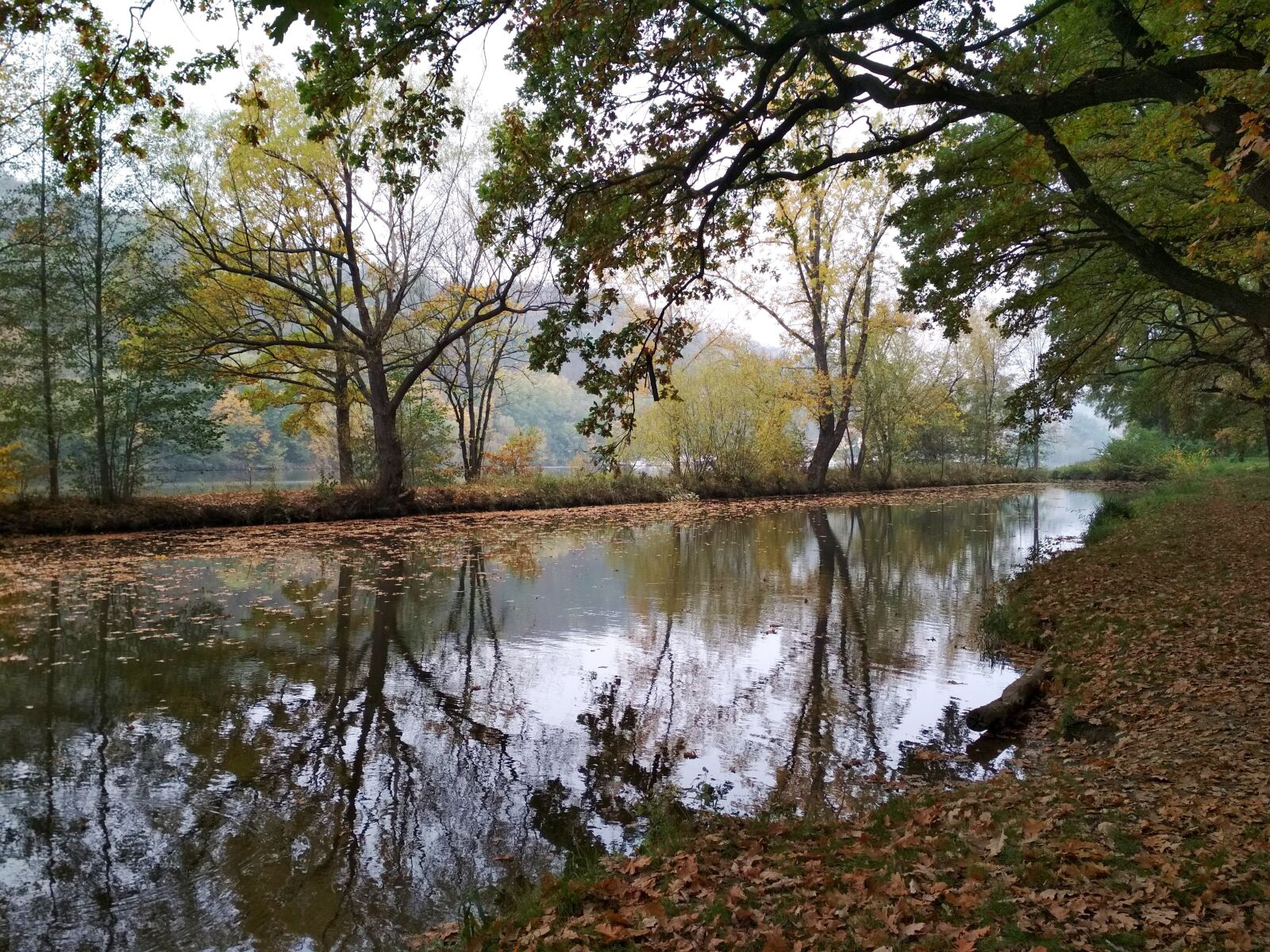 Xiaomi Redmi 4X sample photo. Nature, autumn, water photography