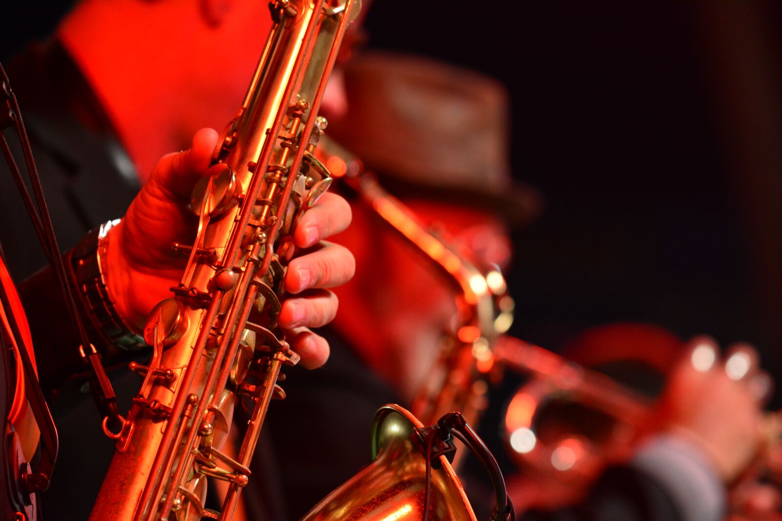 Nikon D7100 sample photo. Music, musician, instrument photography
