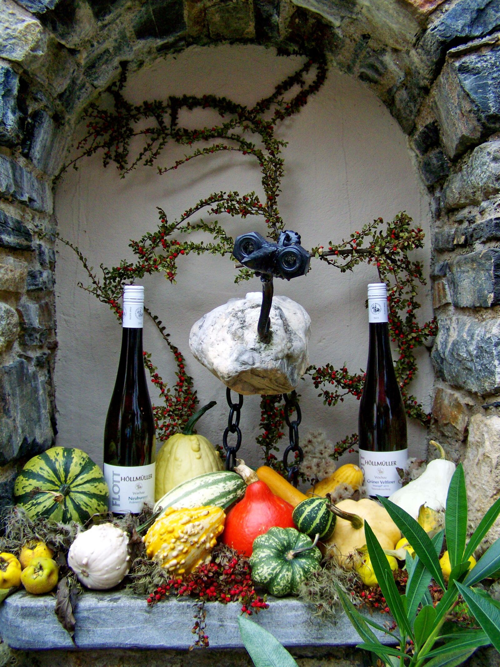 Kodak EASYSHARE ZD710 ZOOM DIGITAL CAMERA sample photo. Showcase, falf lke, wine photography