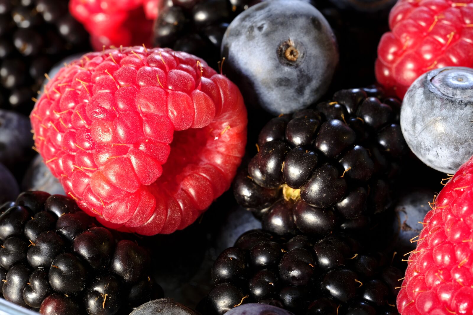 Fujifilm X-T2 + Fujifilm XF 80mm F2.8 R LM OIS WR Macro sample photo. Berries, raspberries, blackberries photography