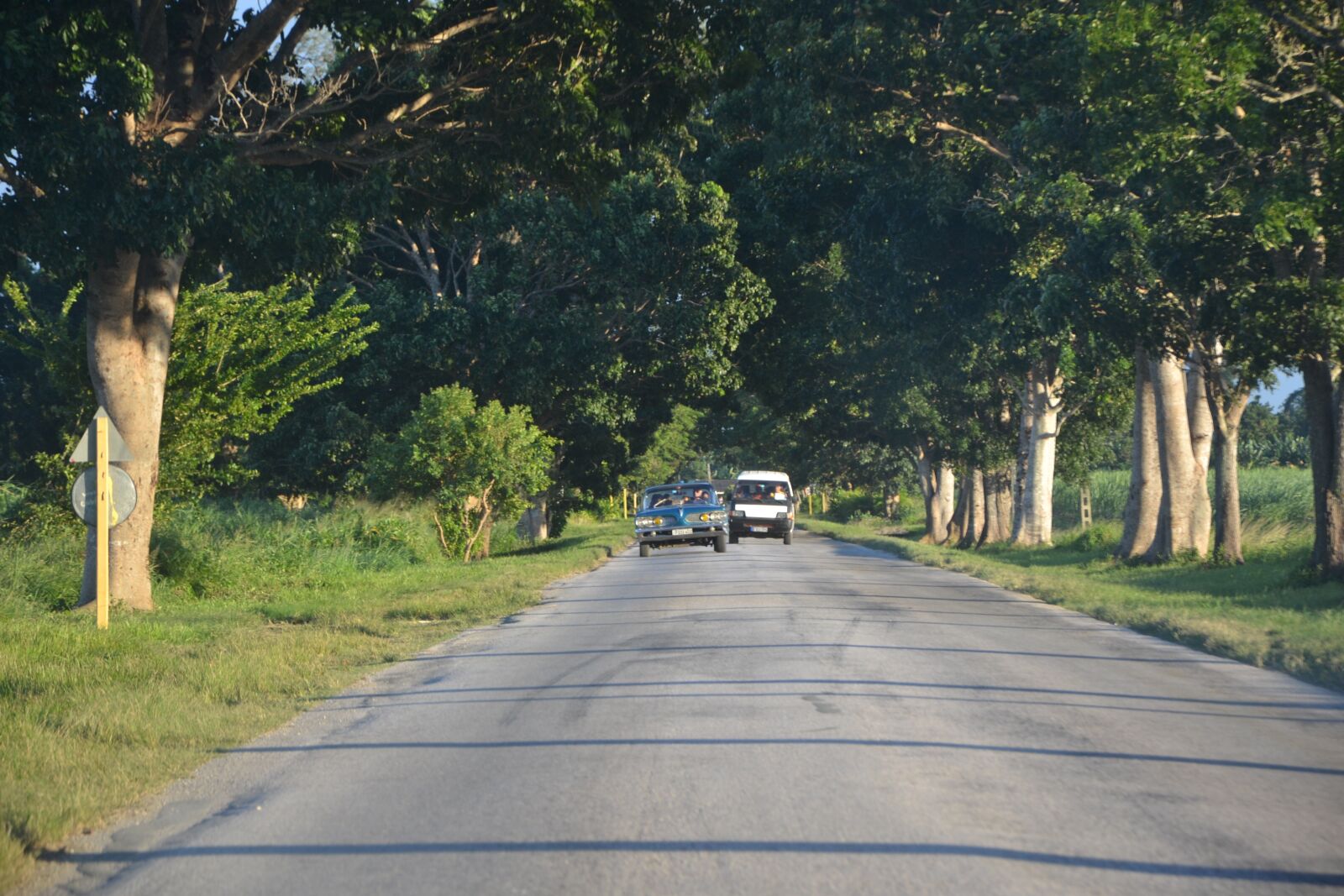 Nikon D3100 sample photo. Road, habana, havana photography