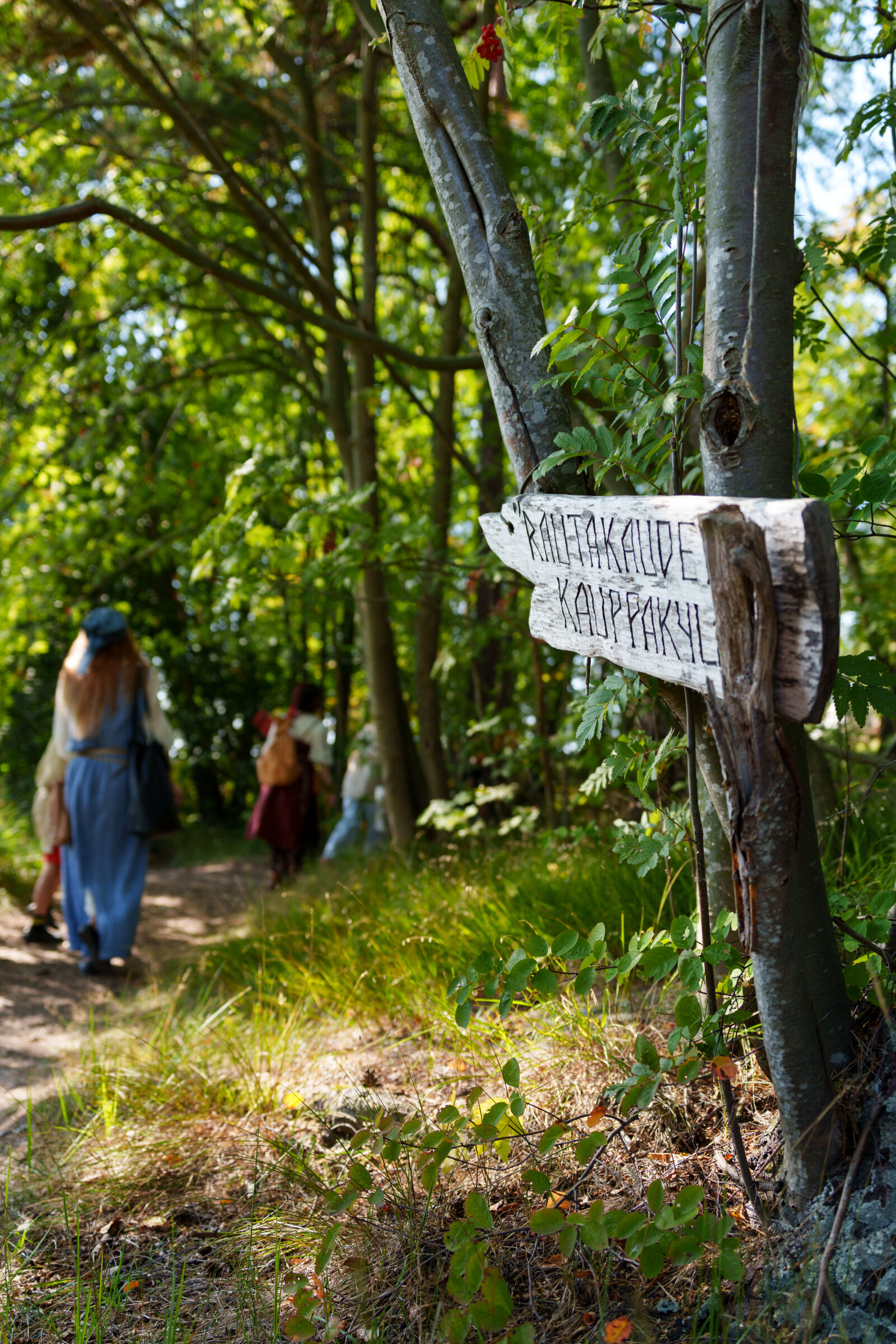 Sigma 28-105mm F2.8 DG DN | Art sample photo. Sign for primeval times photography