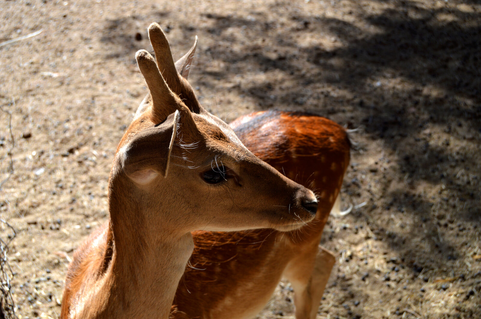 Nikon D3200 sample photo