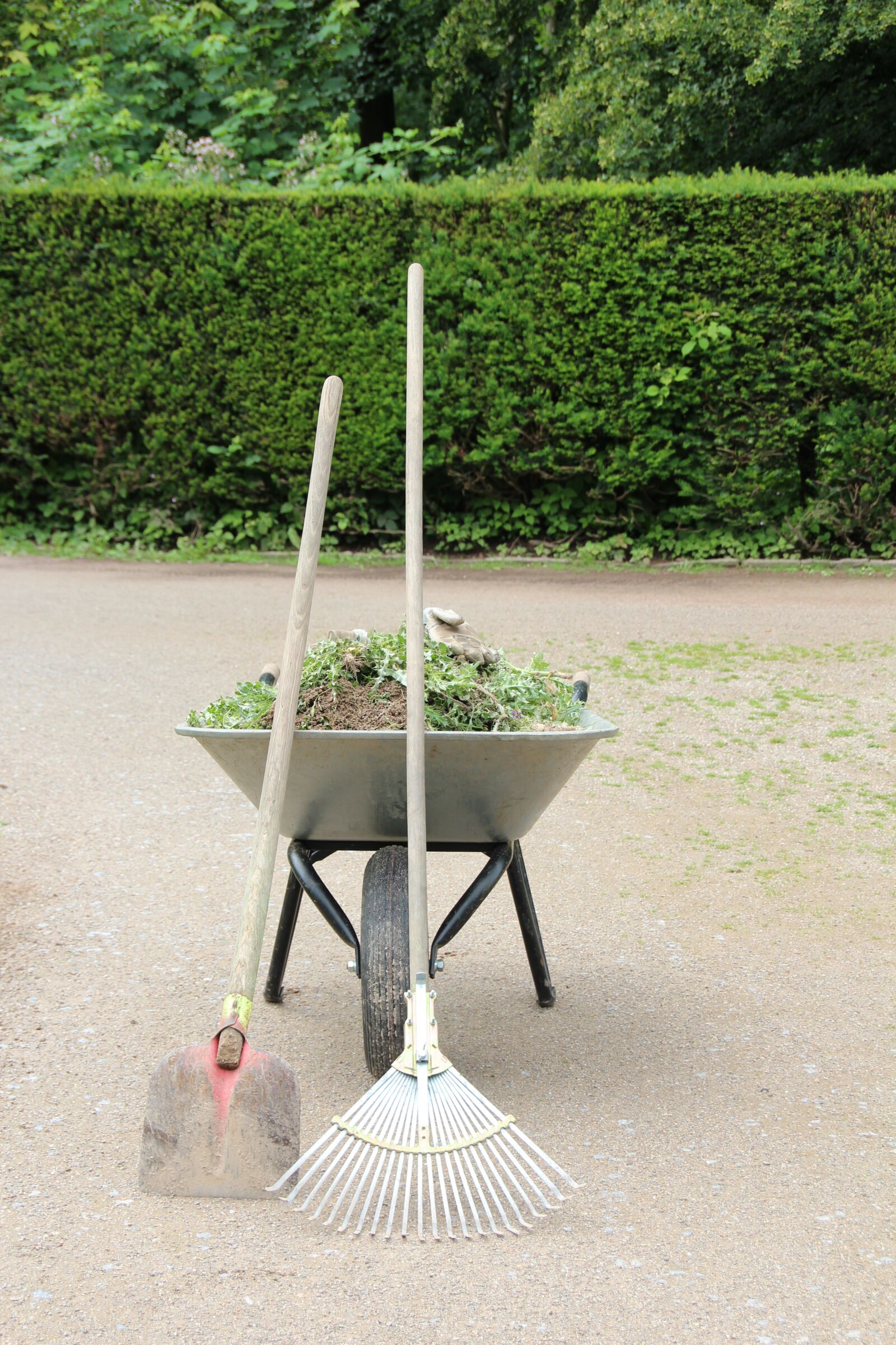 Canon EOS 600D (Rebel EOS T3i / EOS Kiss X5) sample photo. Work, wheelbarrow, rake photography