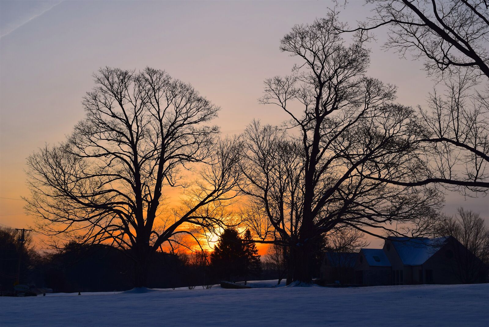 Nikon D3300 sample photo. Trees, dawn, landscape photography