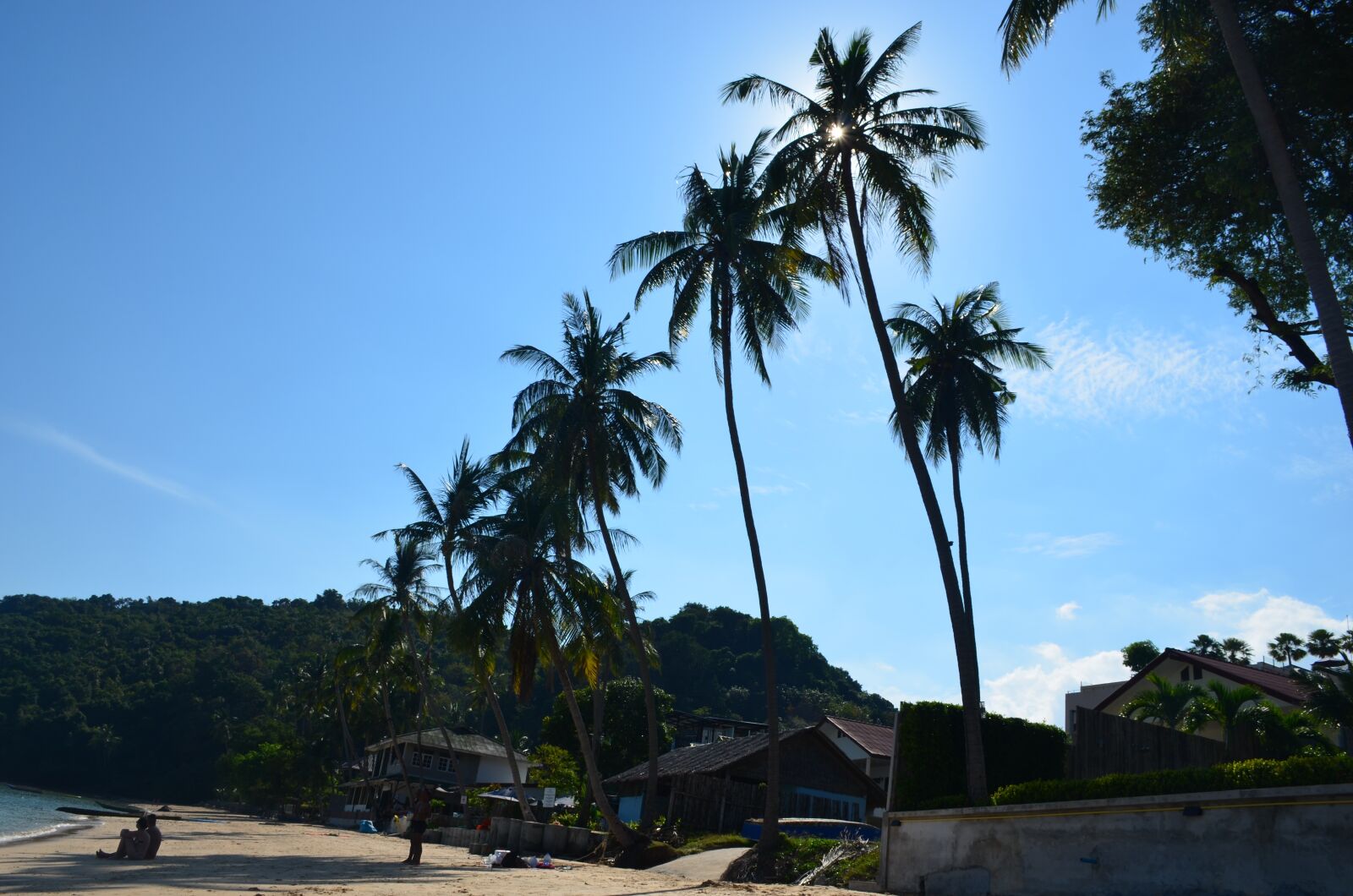 Nikon D5100 sample photo. Beach, palm trees, summer photography
