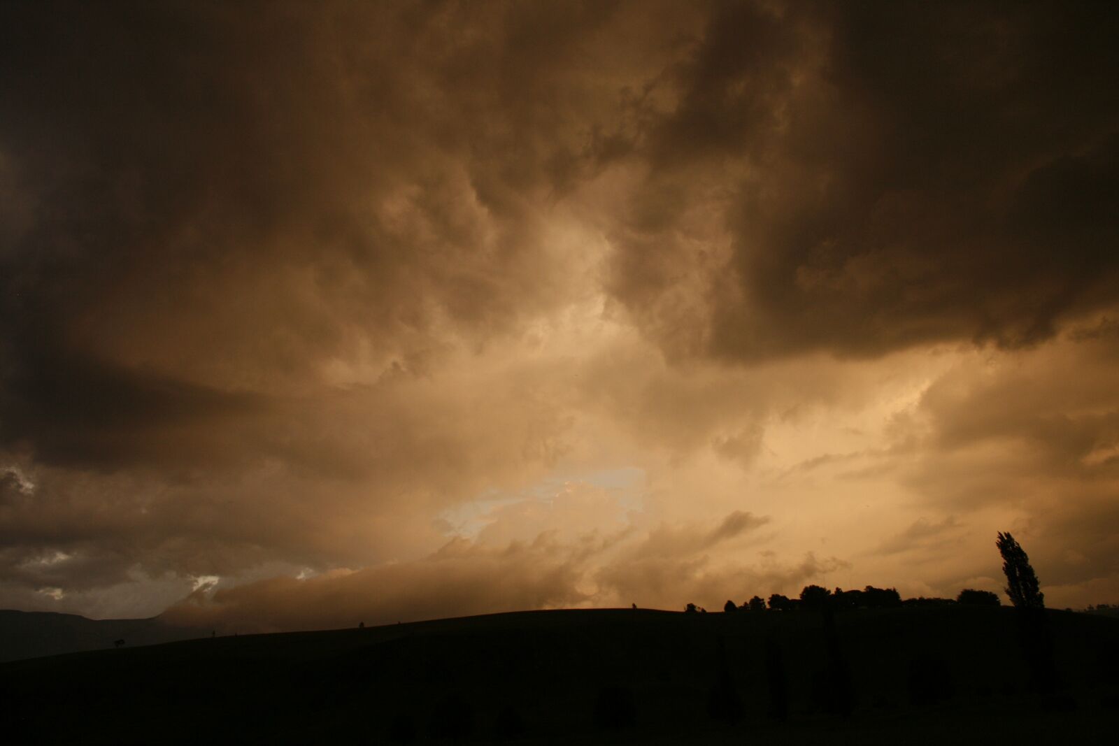 Canon EOS 400D (EOS Digital Rebel XTi / EOS Kiss Digital X) sample photo. Landscape, sunset, tree photography