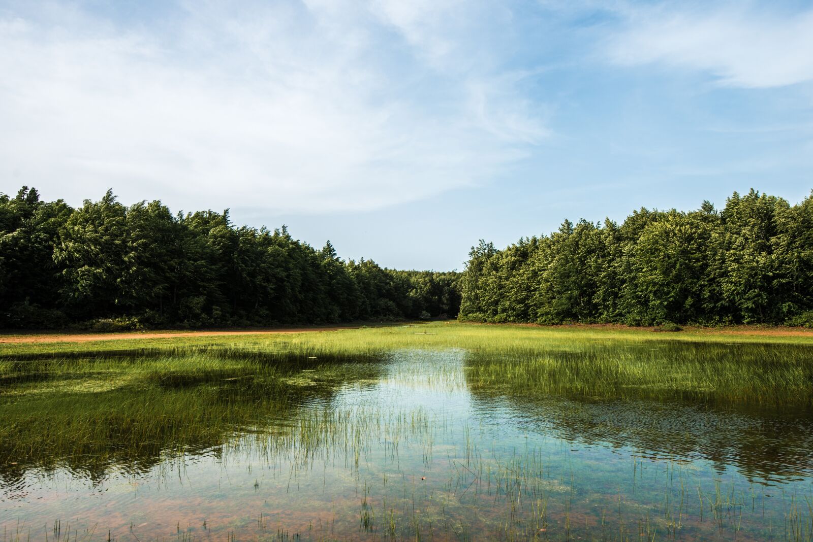 Nikon D800 sample photo. Lake, trees, forest photography