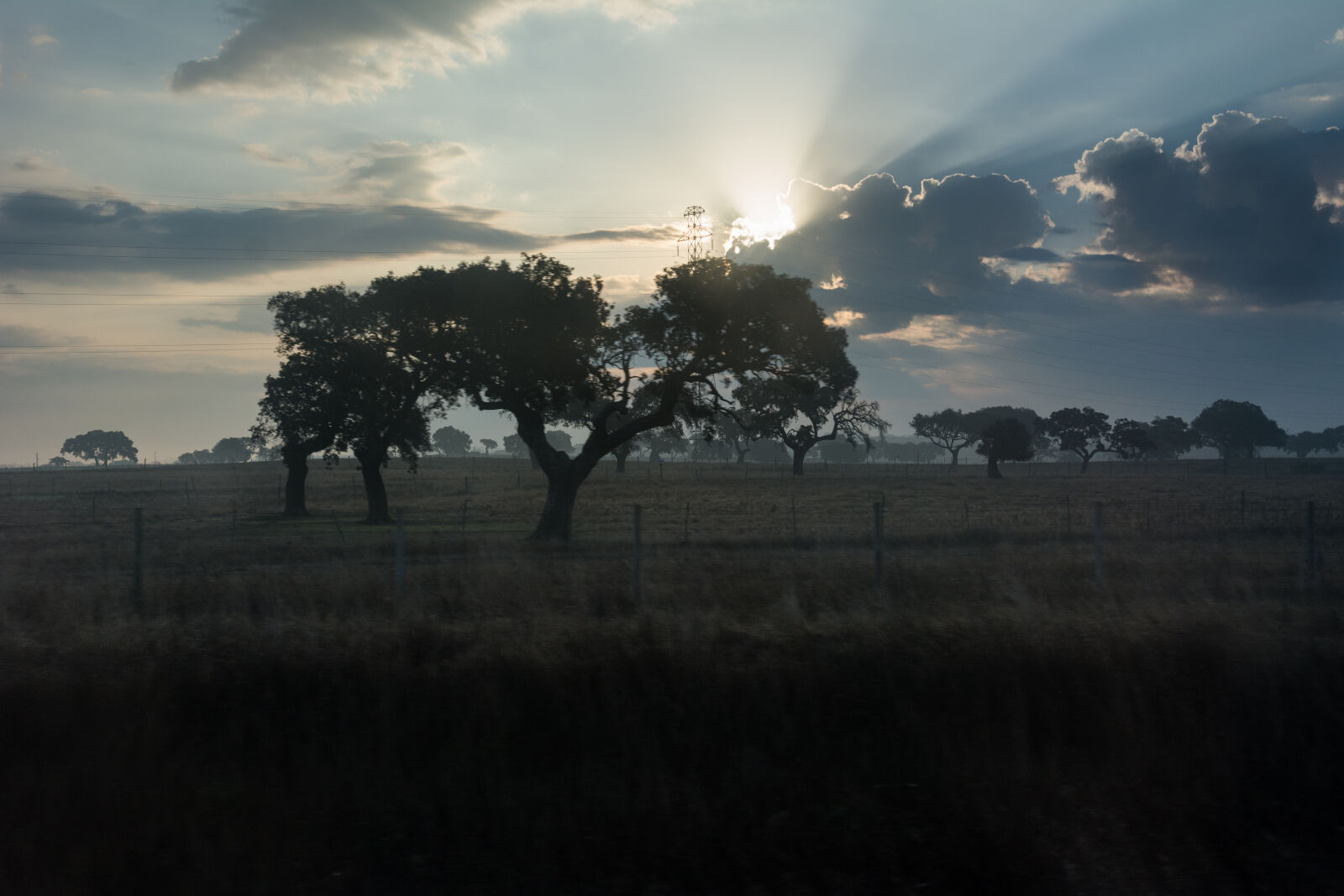 Nikon AF-S DX Nikkor 16-85mm F3.5-5.6G ED VR sample photo. Landscape, tree, morning, sun photography