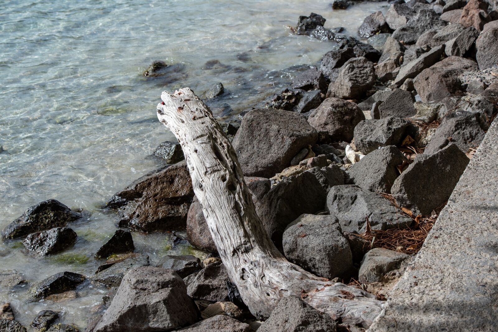 Nikon D750 sample photo. St vincent and the photography