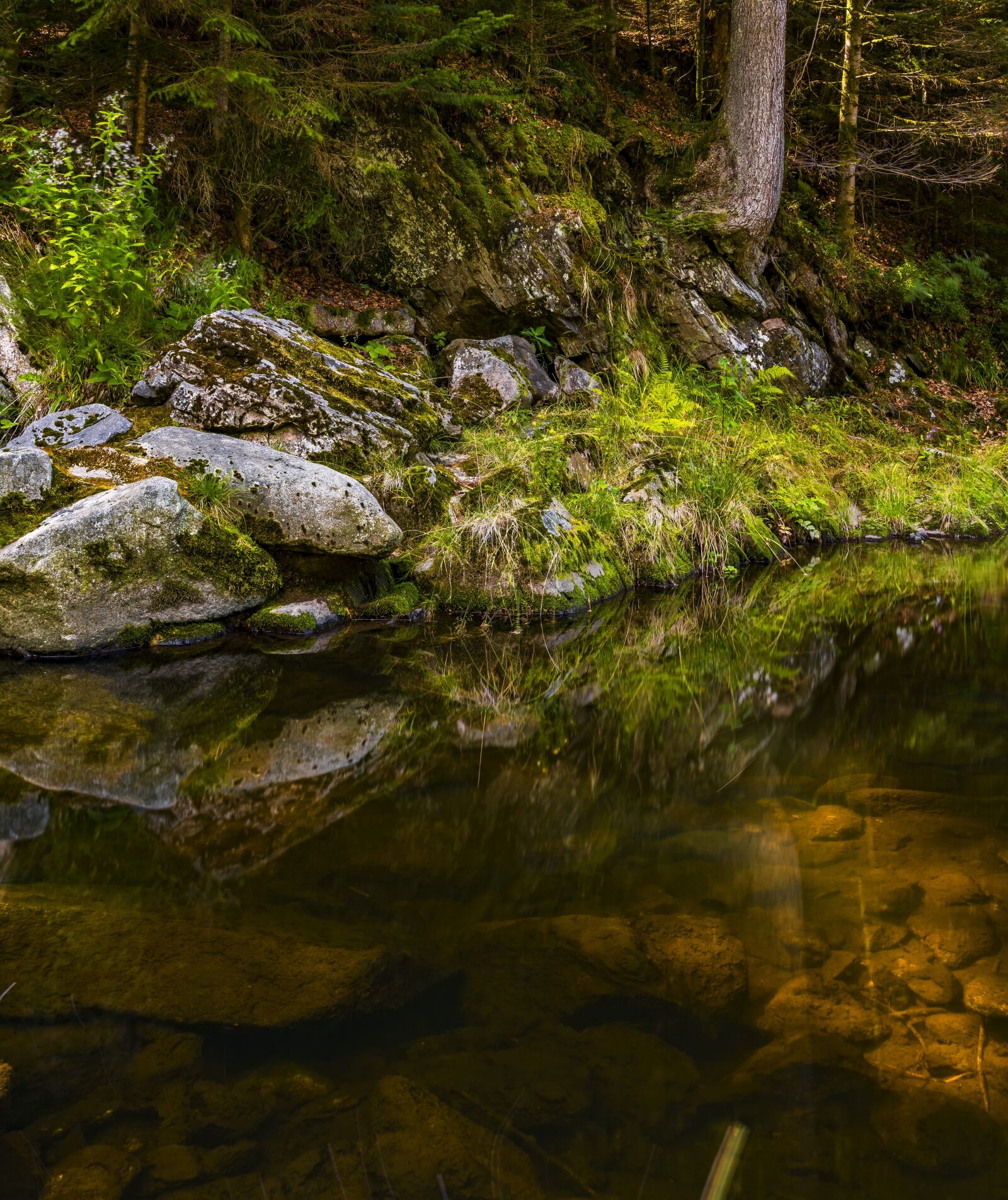 Sony a6300 + Sigma 30mm F2.8 EX DN sample photo. Water, river, nature photography