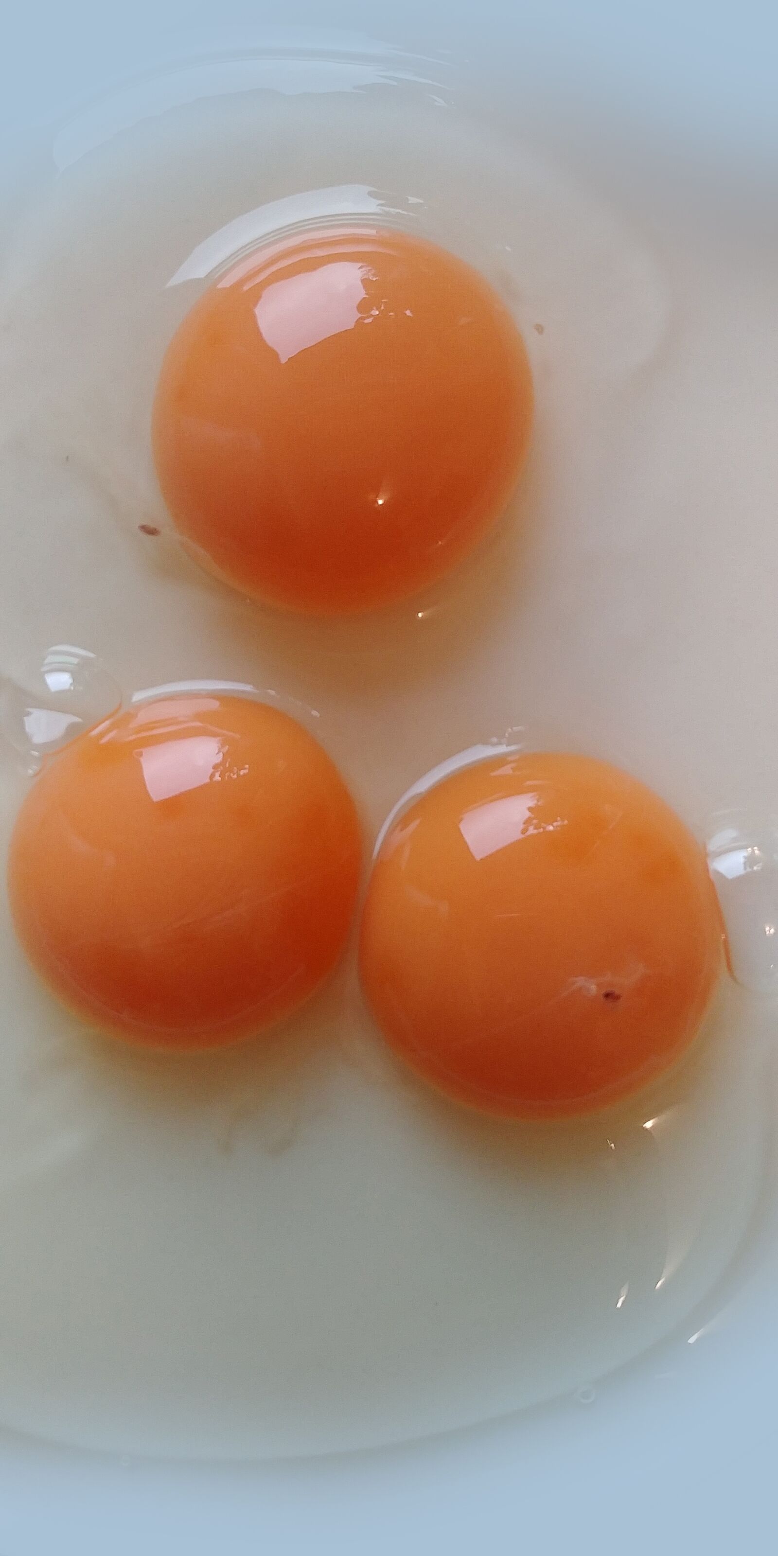 LG G6 sample photo. Egg, food, yolk photography