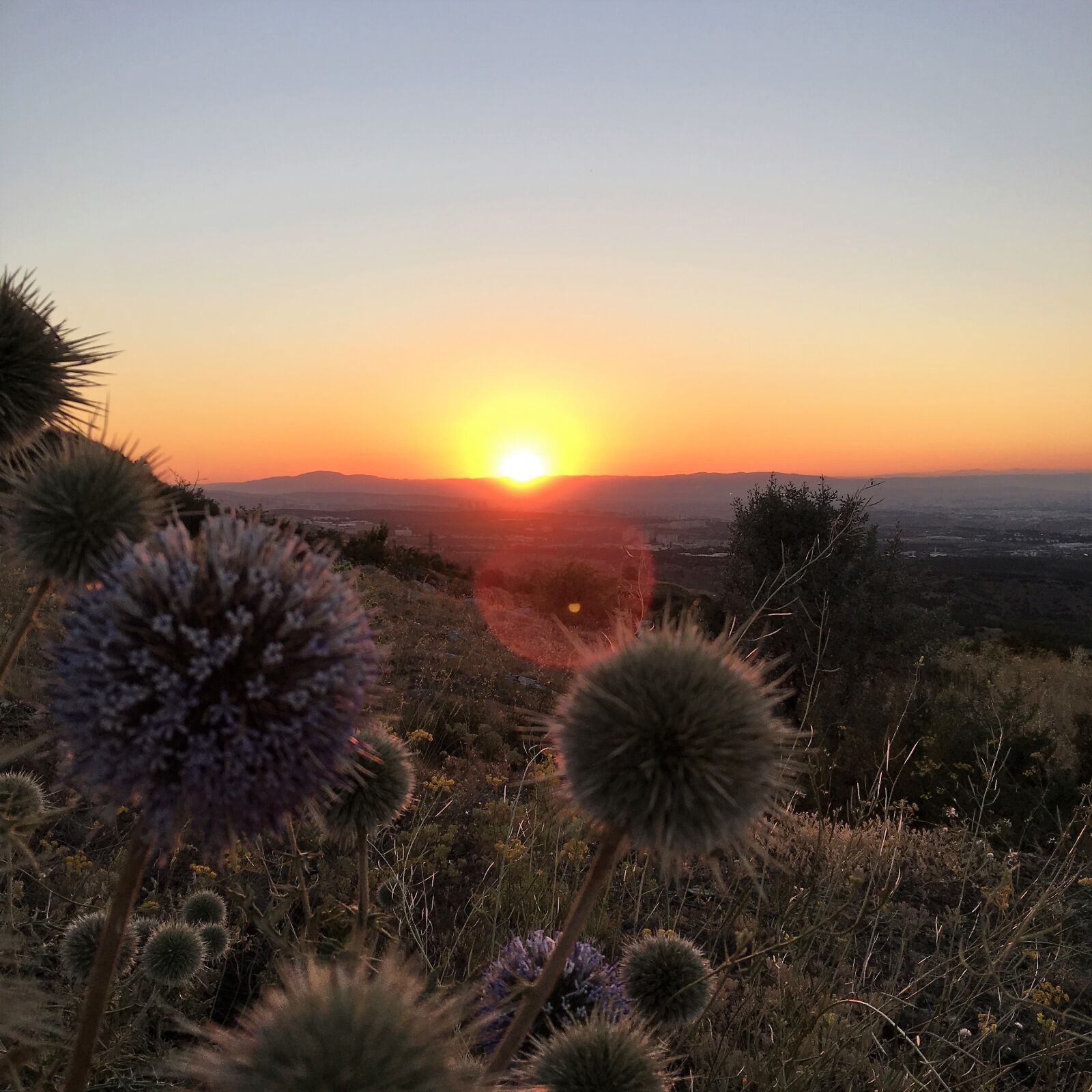 Apple iPhone 6s sample photo. Sunset, le coucher du photography