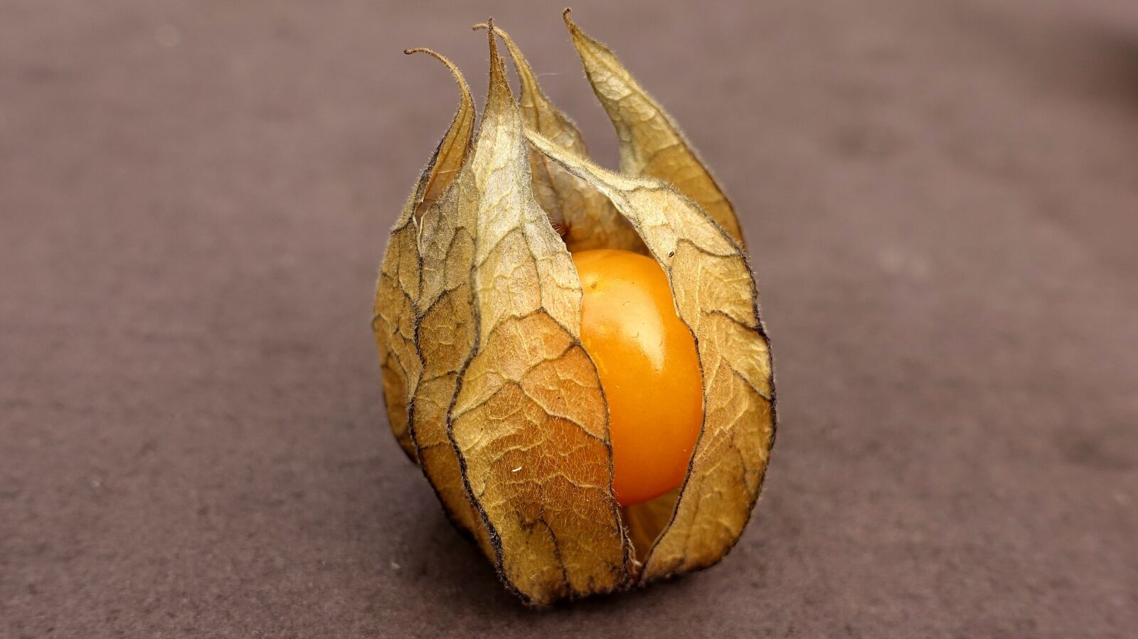 Sony DSC-RX100M5 sample photo. Physalis, fruit, berry photography