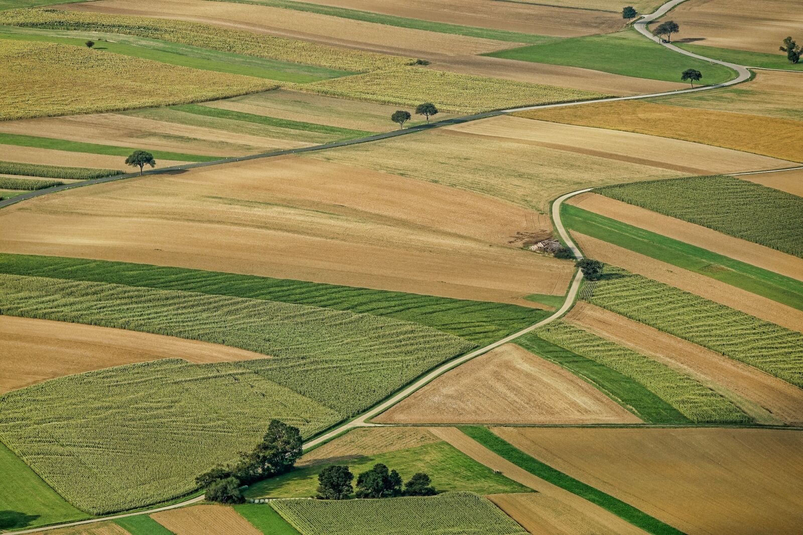 Sony Cyber-shot DSC-RX10 III sample photo. Agriculture, field, arable land photography