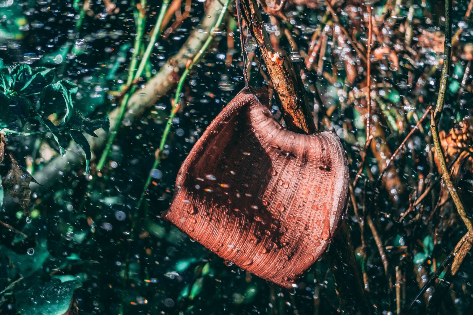 Sony E 55-210mm F4.5-6.3 OSS sample photo. Water, drops, nature photography