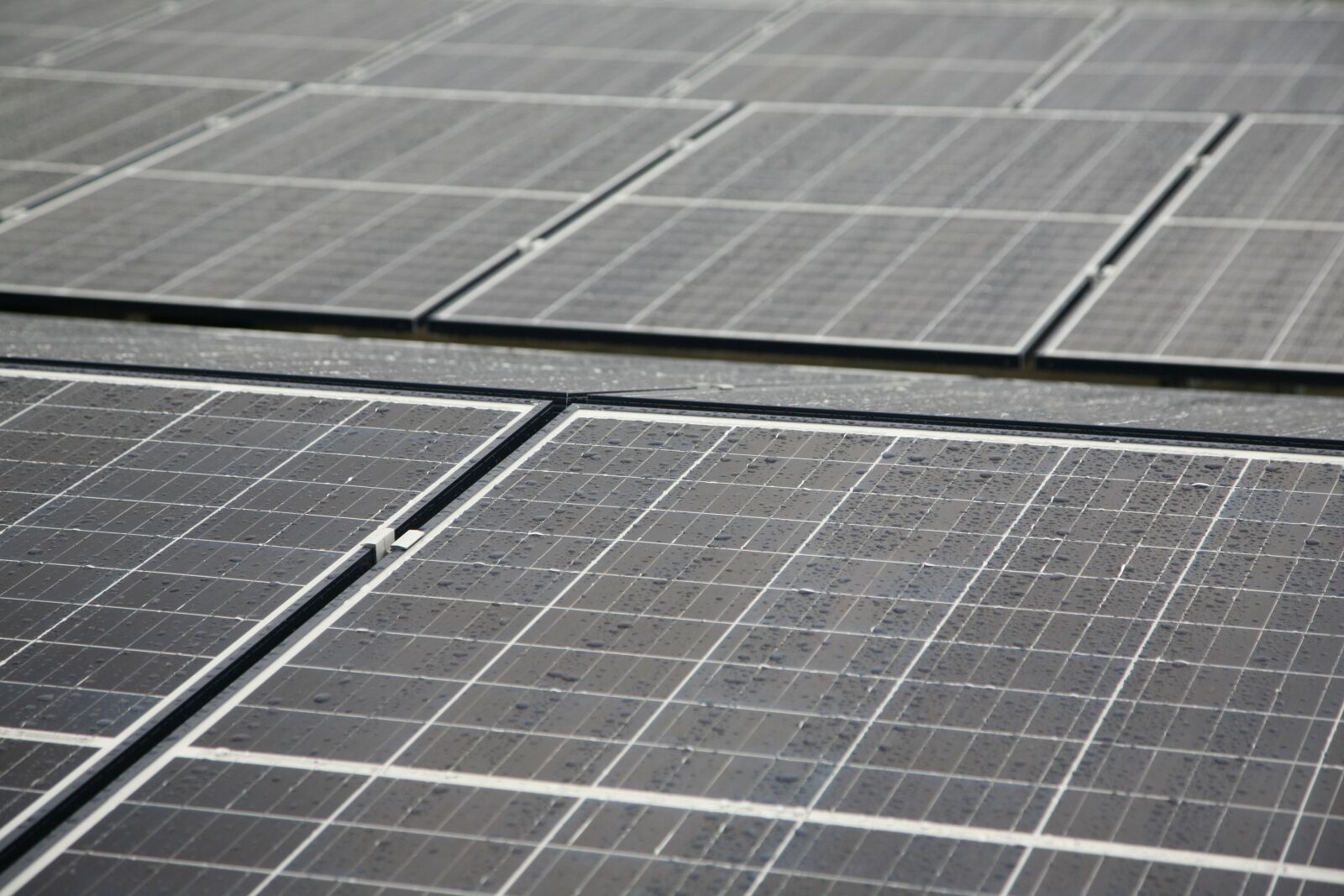 Canon EOS 5D sample photo. Photovoltaic, solar, clean energy photography