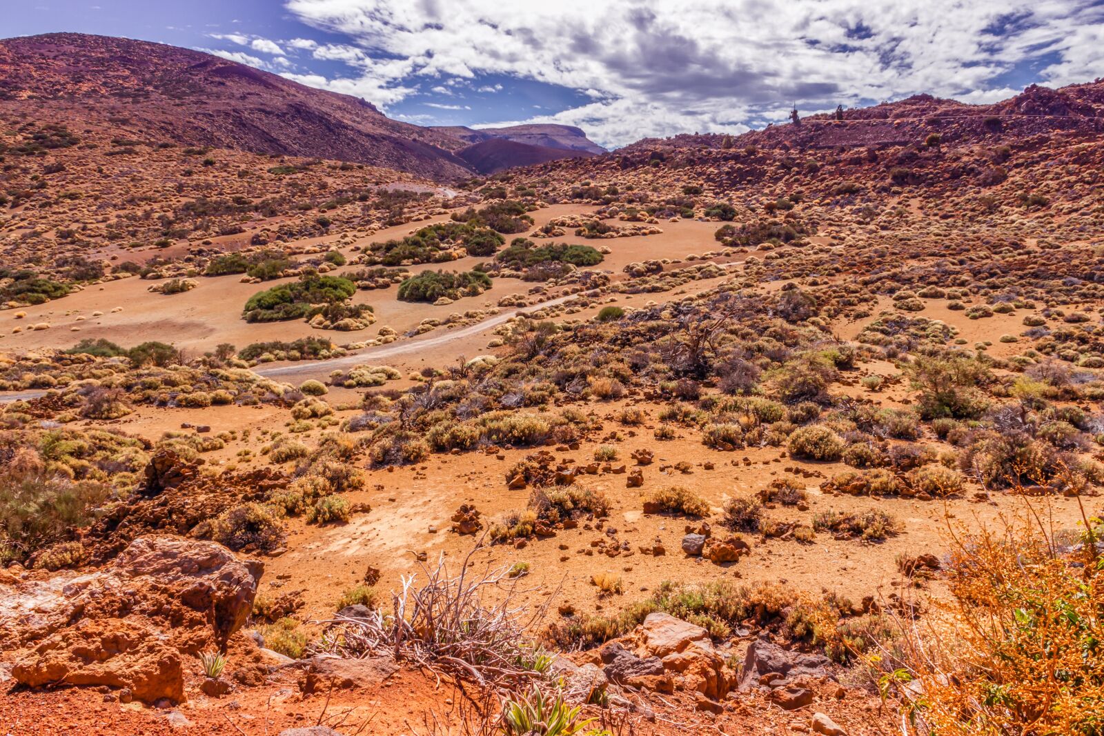 Canon EOS 650D (EOS Rebel T4i / EOS Kiss X6i) sample photo. Volcanic landscape, tenerife, nature photography