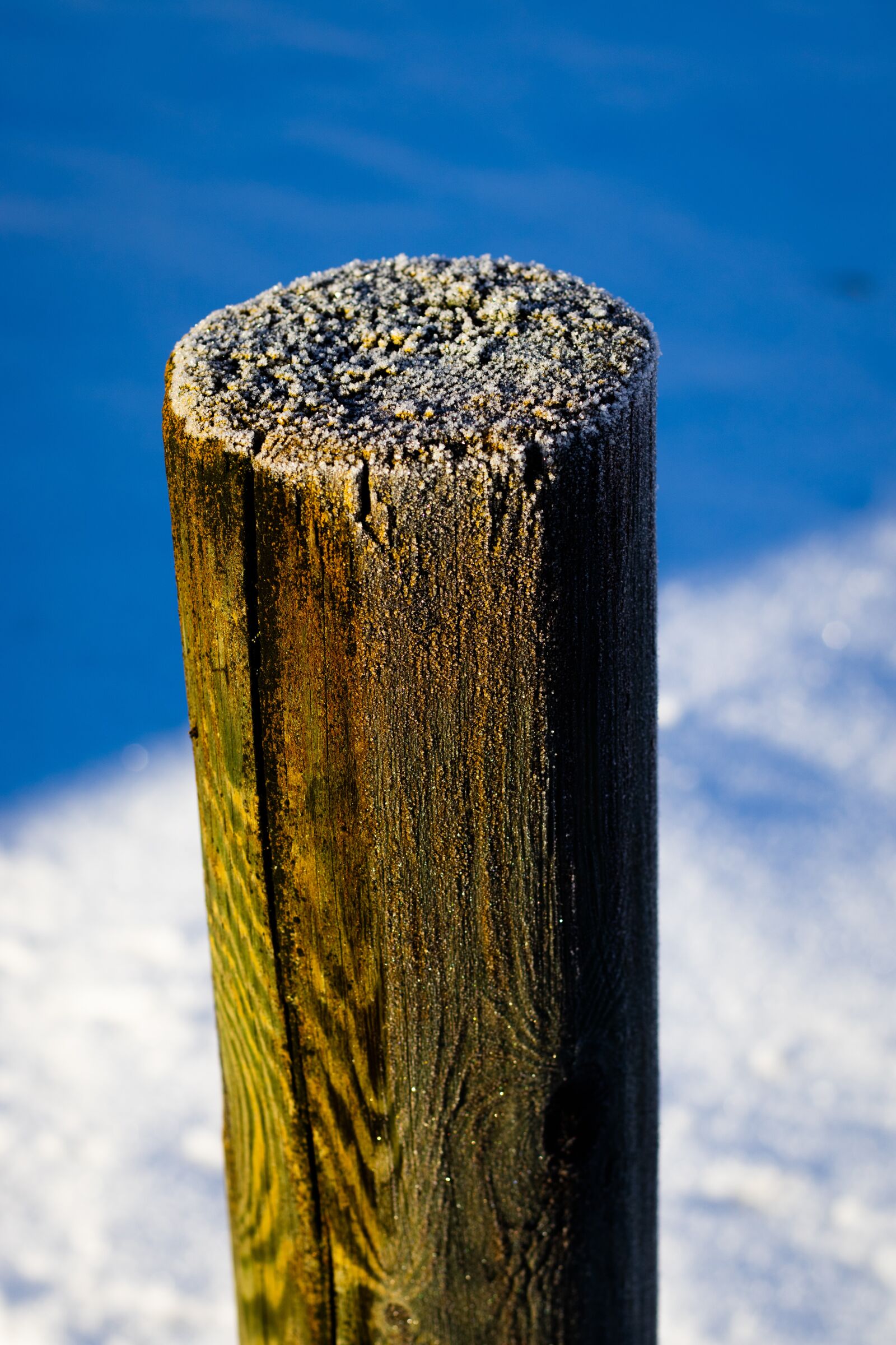 Canon EOS 250D (EOS Rebel SL3 / EOS Kiss X10 / EOS 200D II) + Canon EF 50mm F1.8 STM sample photo. Wooden stake, snow, winter photography