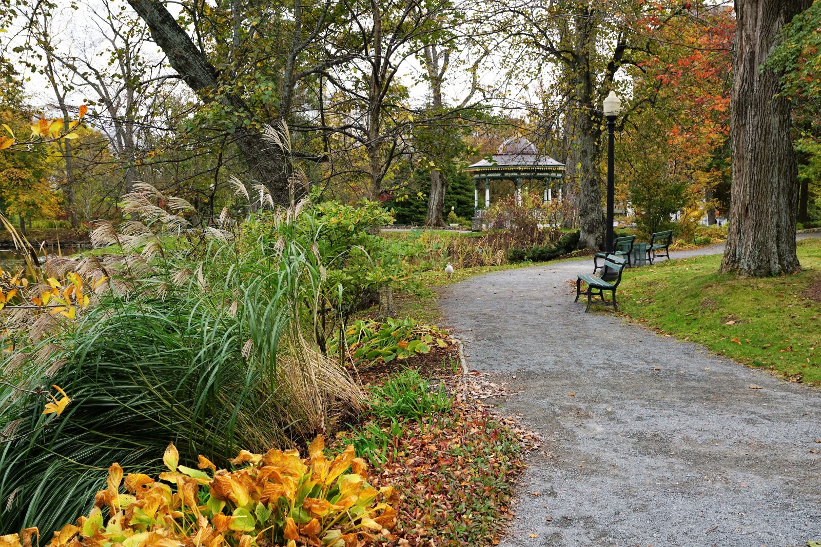 Sony ILCA-77M2 + Sony DT 16-50mm F2.8 SSM sample photo. Halifax, park, nature photography