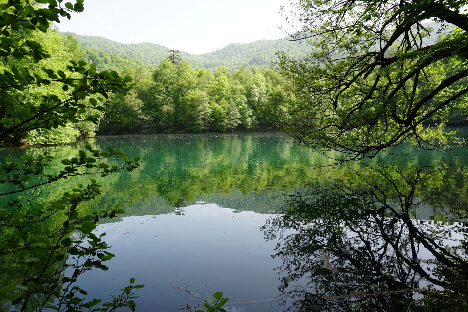 Sony a6300 sample photo. Lacquer, lake, green photography