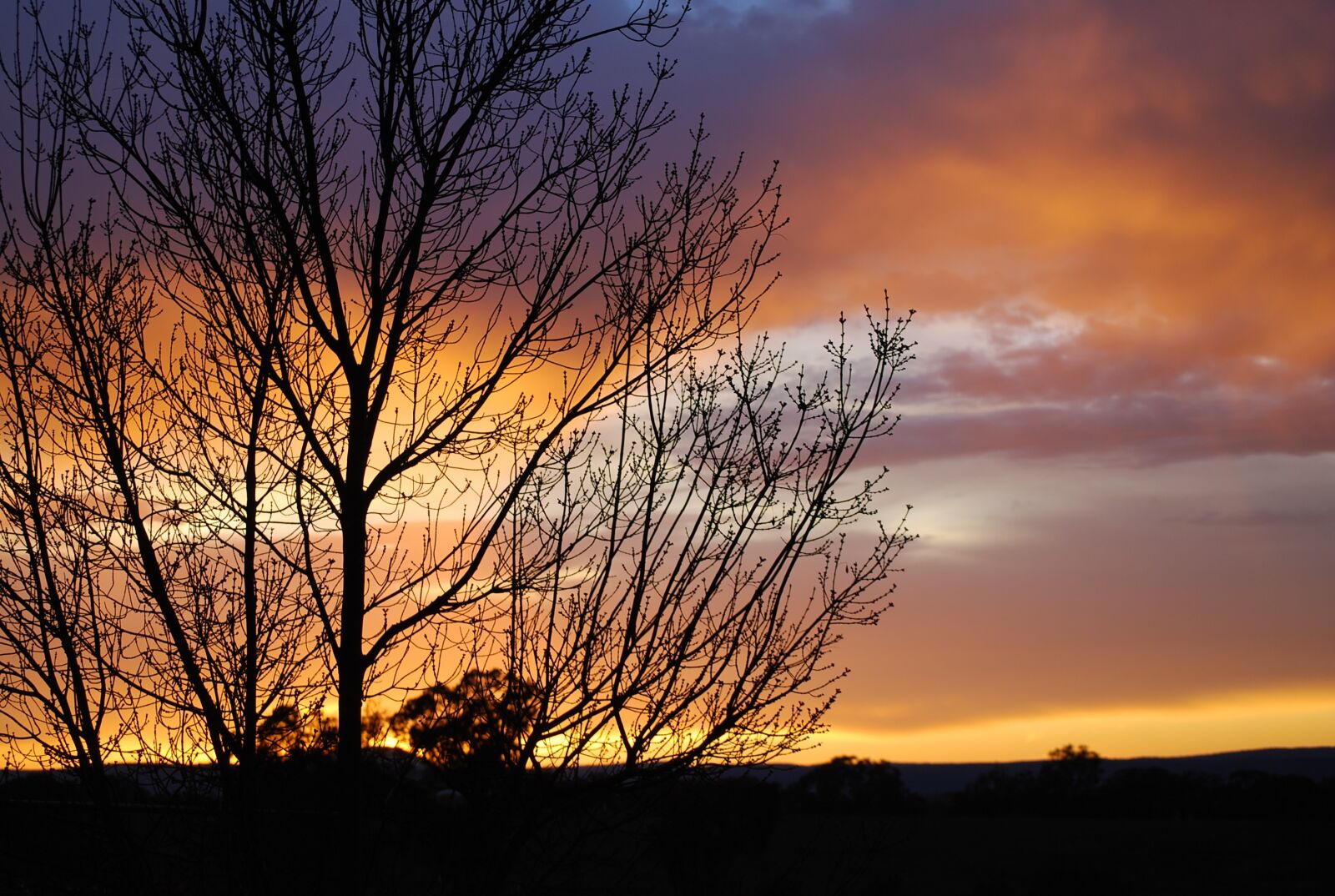 Nikon D40X sample photo. Sunset, sky, evening photography