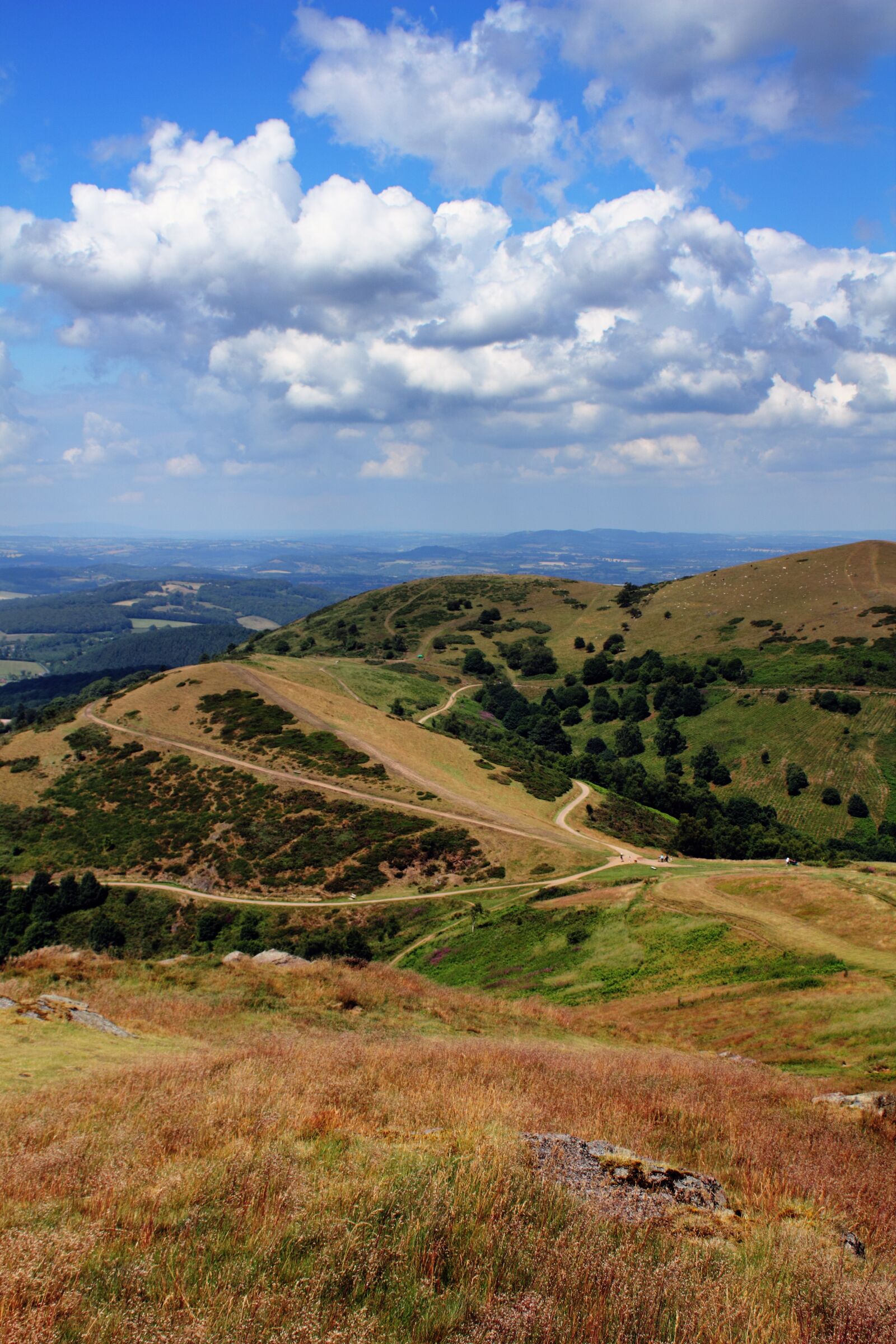 Canon EOS 550D (EOS Rebel T2i / EOS Kiss X4) sample photo. Malvern, hills, landscape photography
