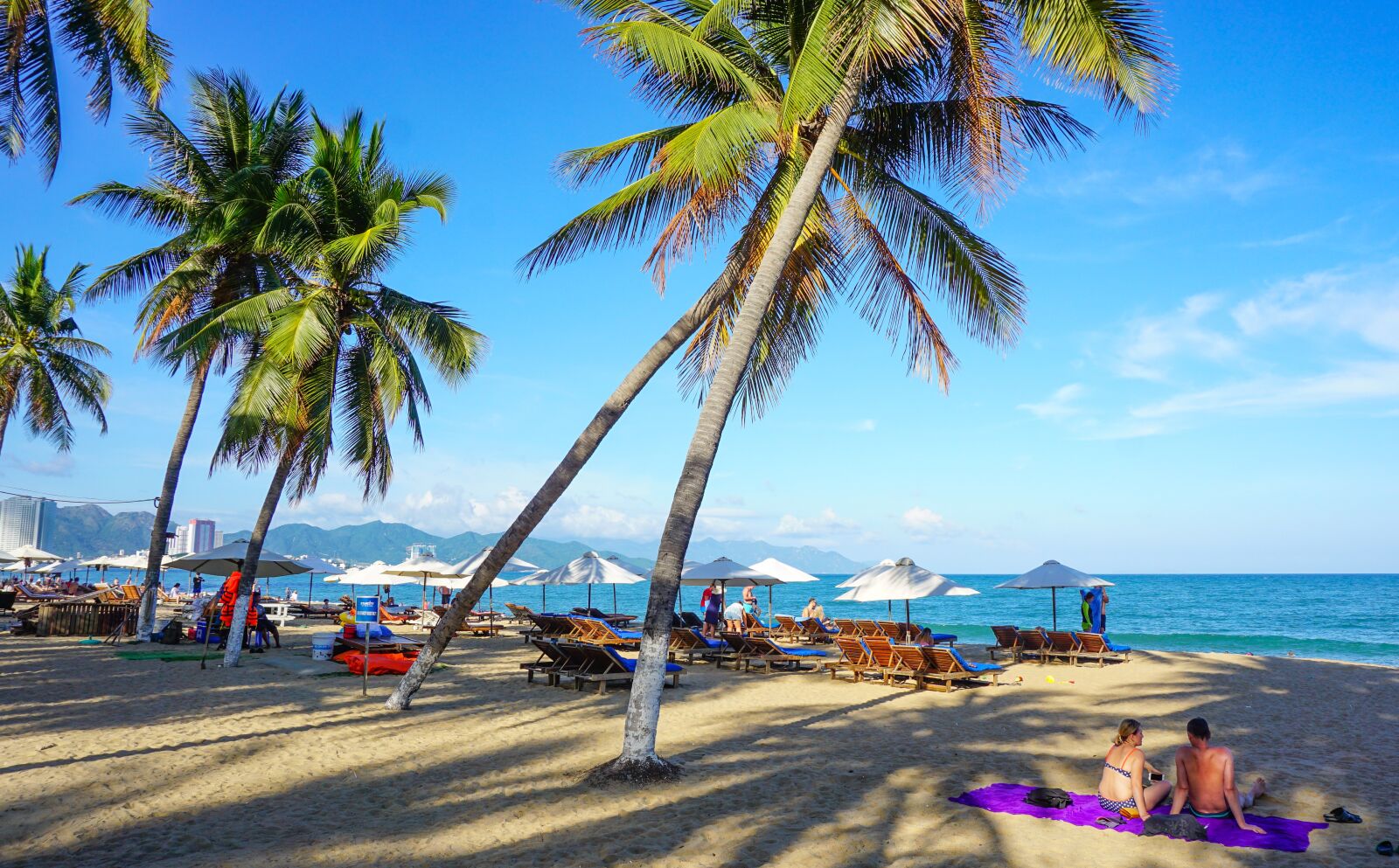 Sony a6000 sample photo. Beach, palm trees, island photography