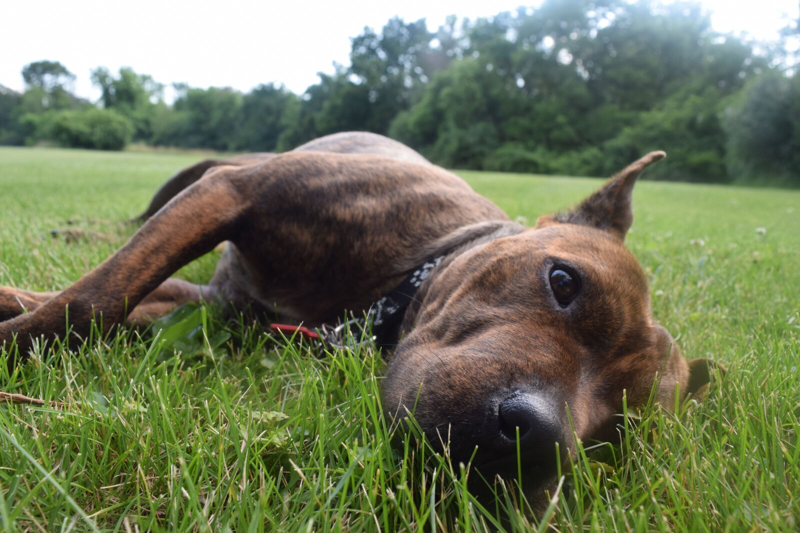 Nikon D3300 sample photo
