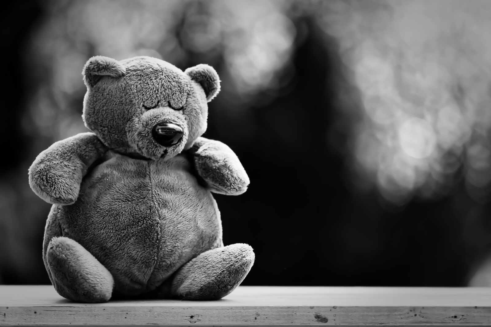 Nikon D7200 sample photo. Teddy, cute, tired photography