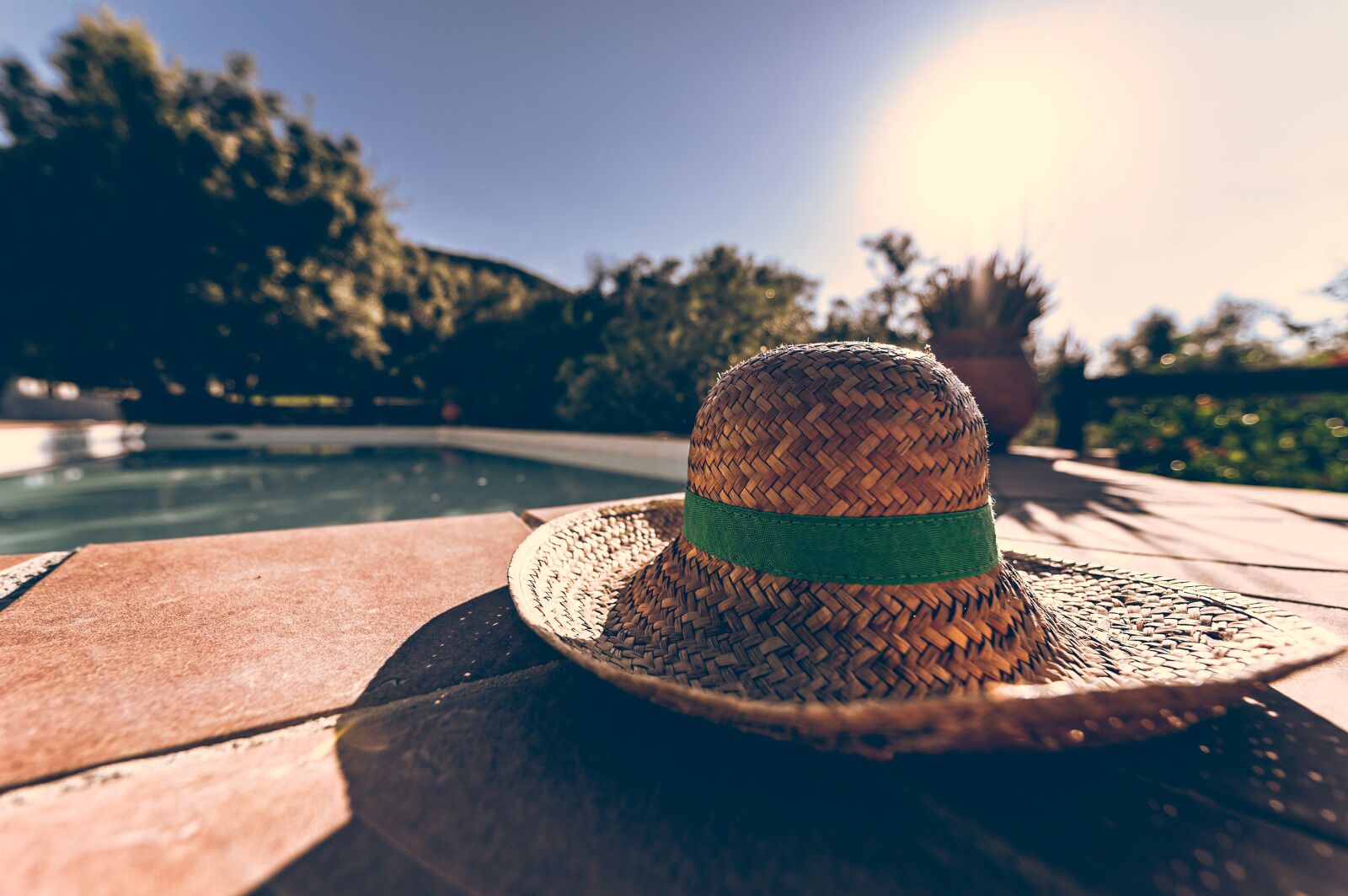 Nikon Z6 sample photo. Hat, straw hat, coneflower photography