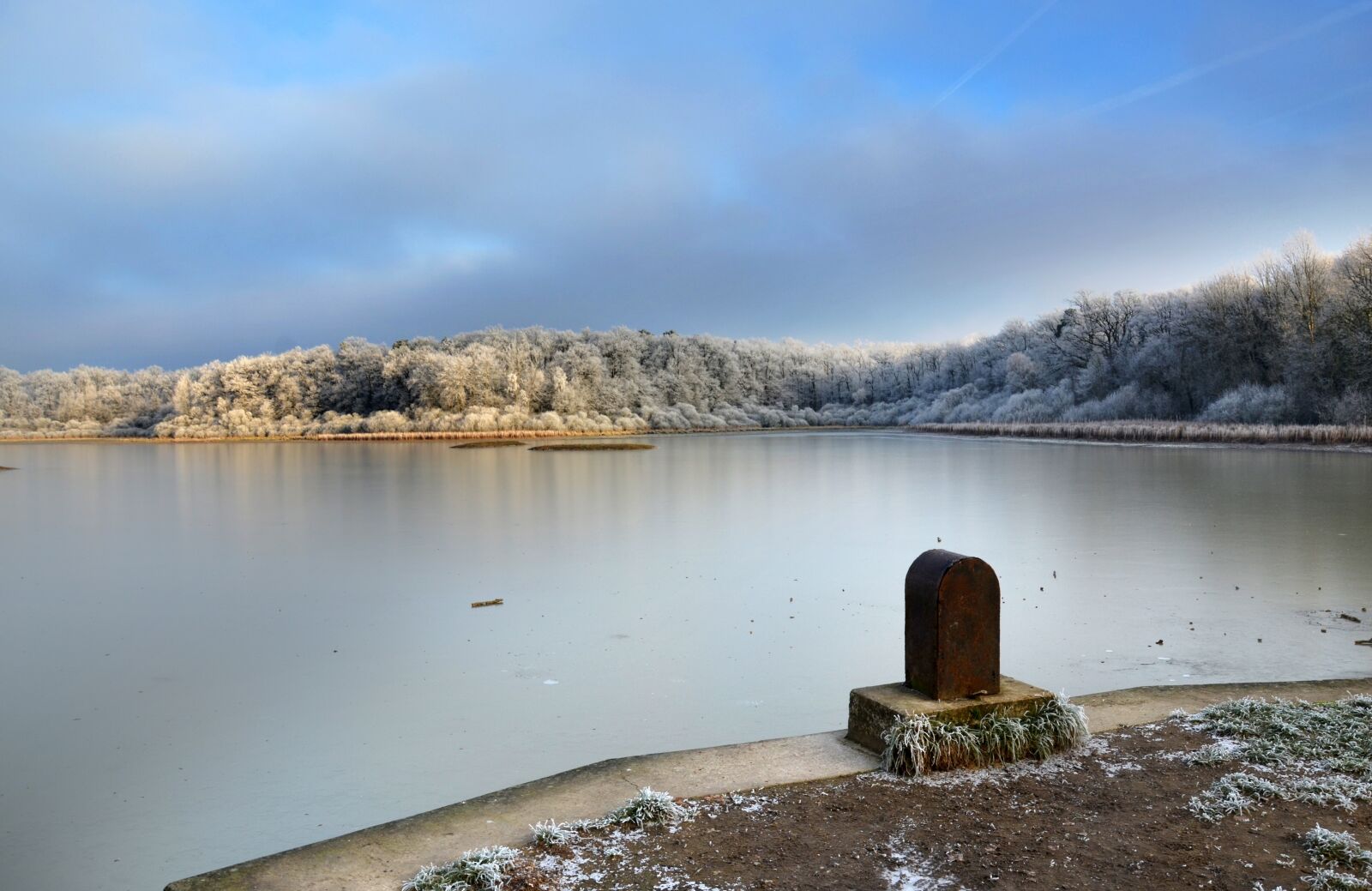 Nikon D5100 sample photo. Frost, winter, cold photography