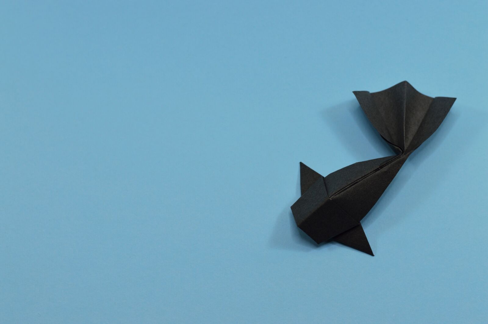 Nikon D3200 sample photo. Blue, carp, origami photography