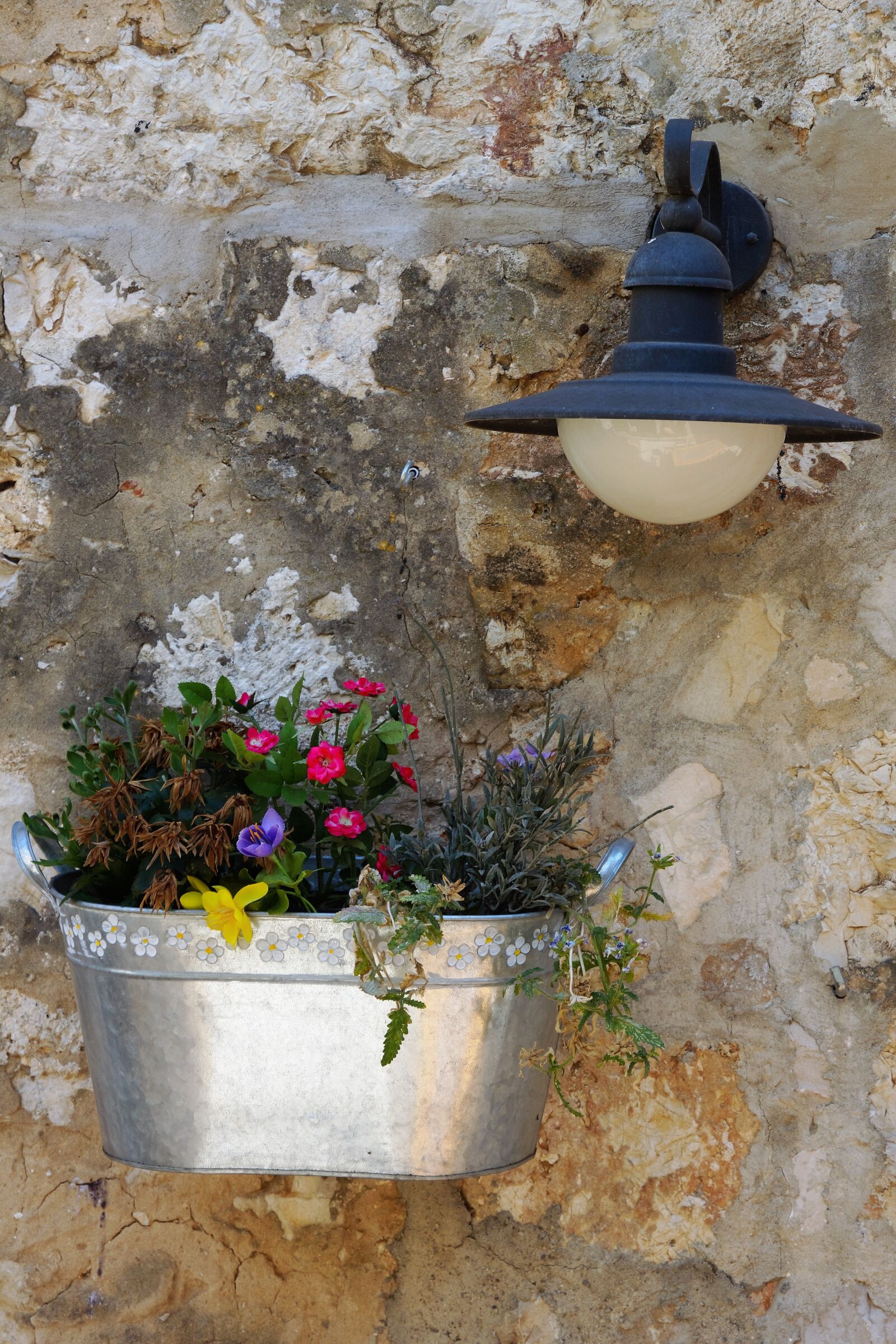 Sony Alpha NEX-7 sample photo. External, wall, decoration photography