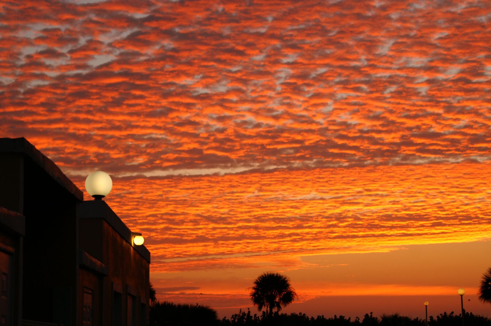 KONICA MINOLTA MAXXUM 5D sample photo. Florida, sunrise, orange photography