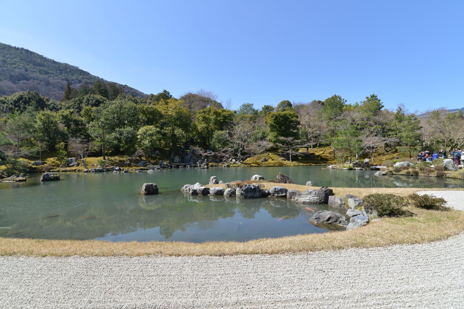 Nikon D800 sample photo. Garden, shingle, landscape photography