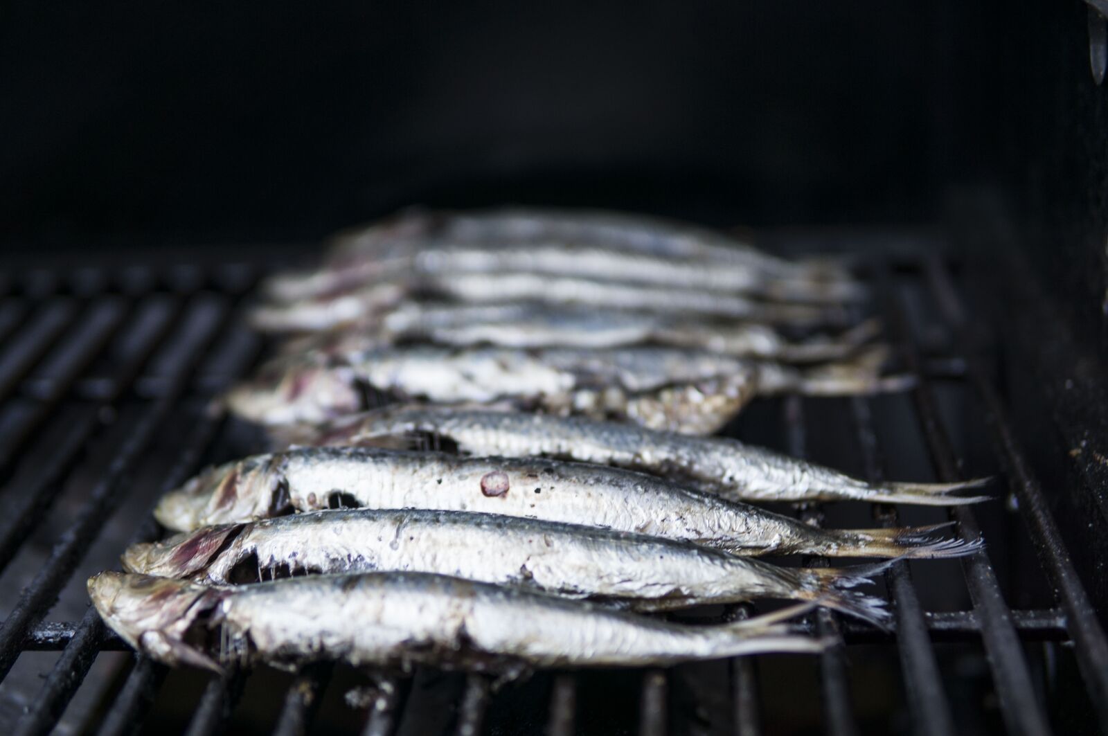 Sony a6000 sample photo. Sardines, seafood, grilling photography