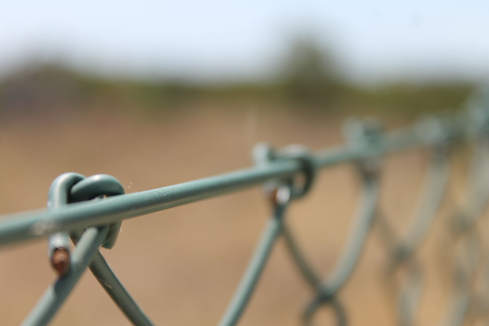 Canon EOS 1100D (EOS Rebel T3 / EOS Kiss X50) sample photo. Detail, fence, macro, macro photography
