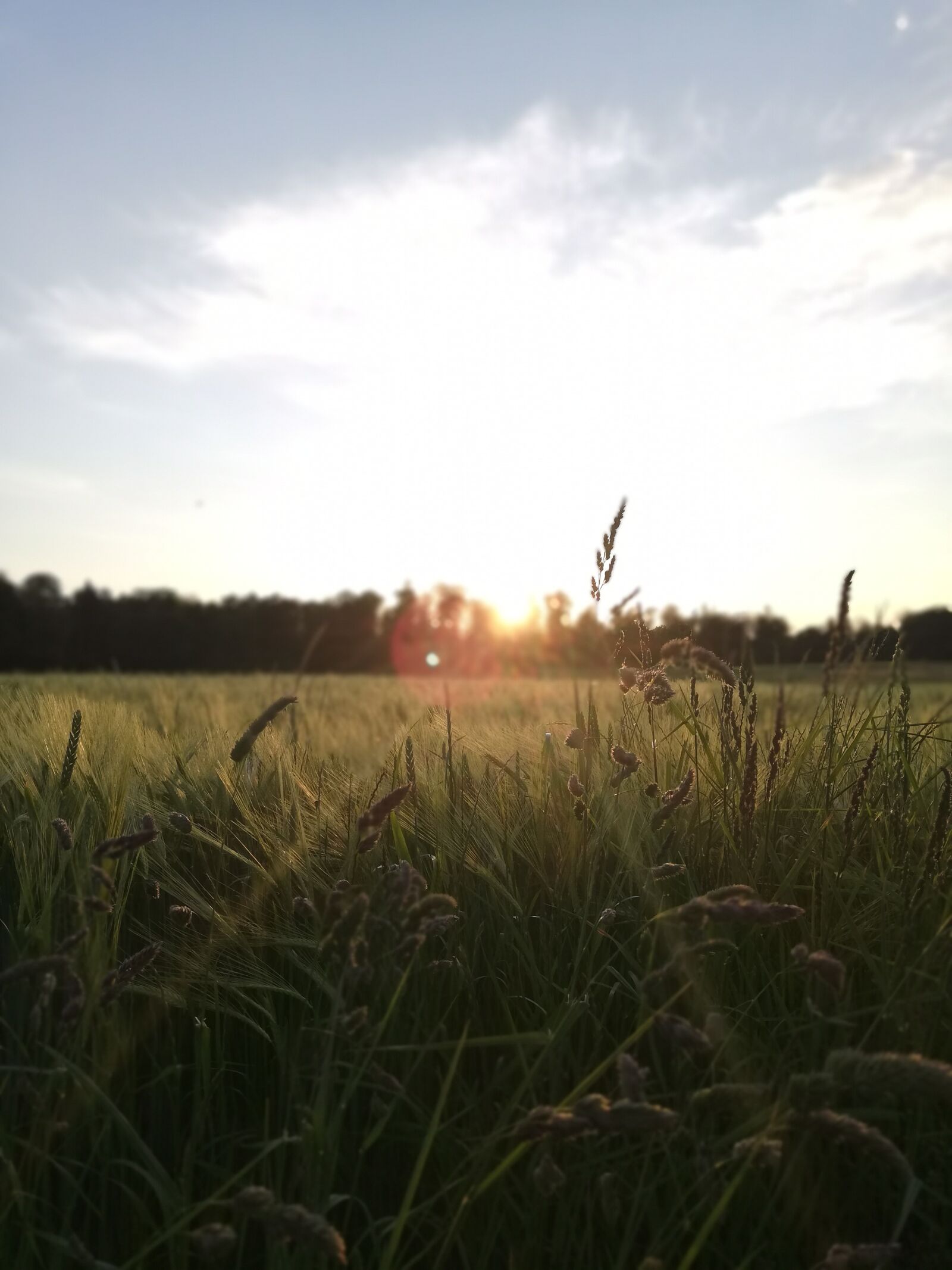 HUAWEI P20 lite sample photo. Sunset, sun, sunrise photography
