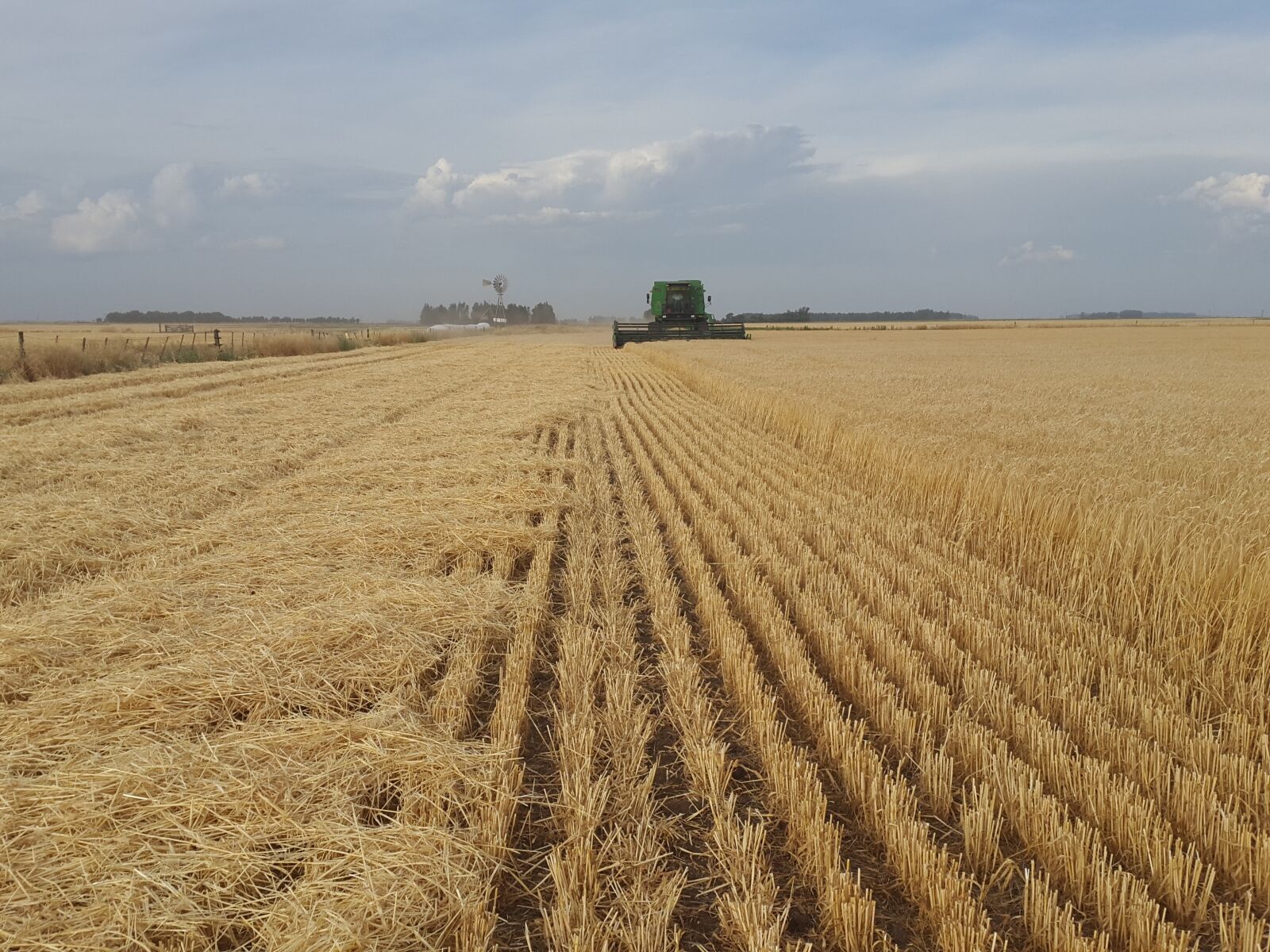 Samsung Galaxy S5 sample photo. Field, agriculture, agro photography