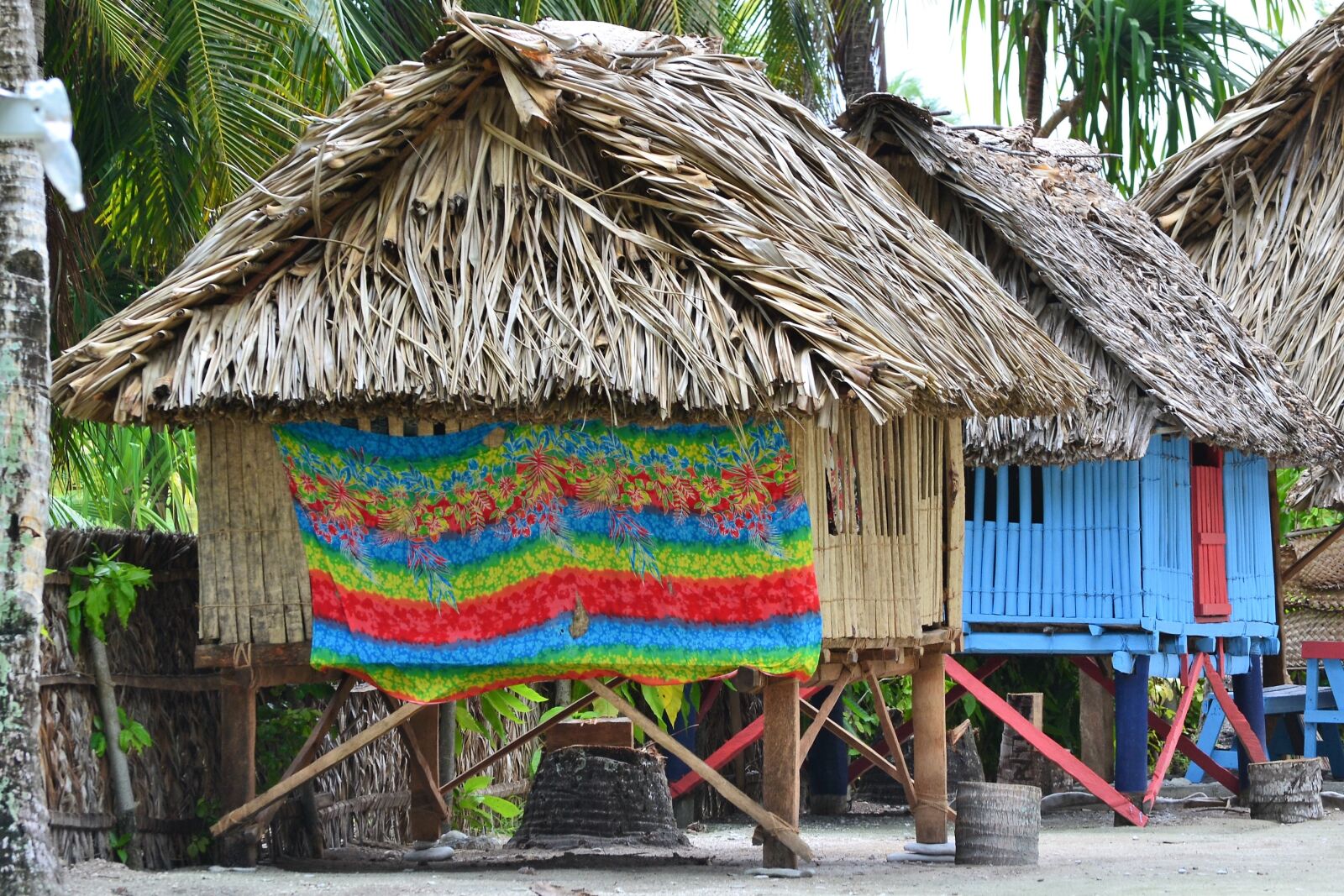 Nikon D3100 sample photo. Hut, grass, tropical photography
