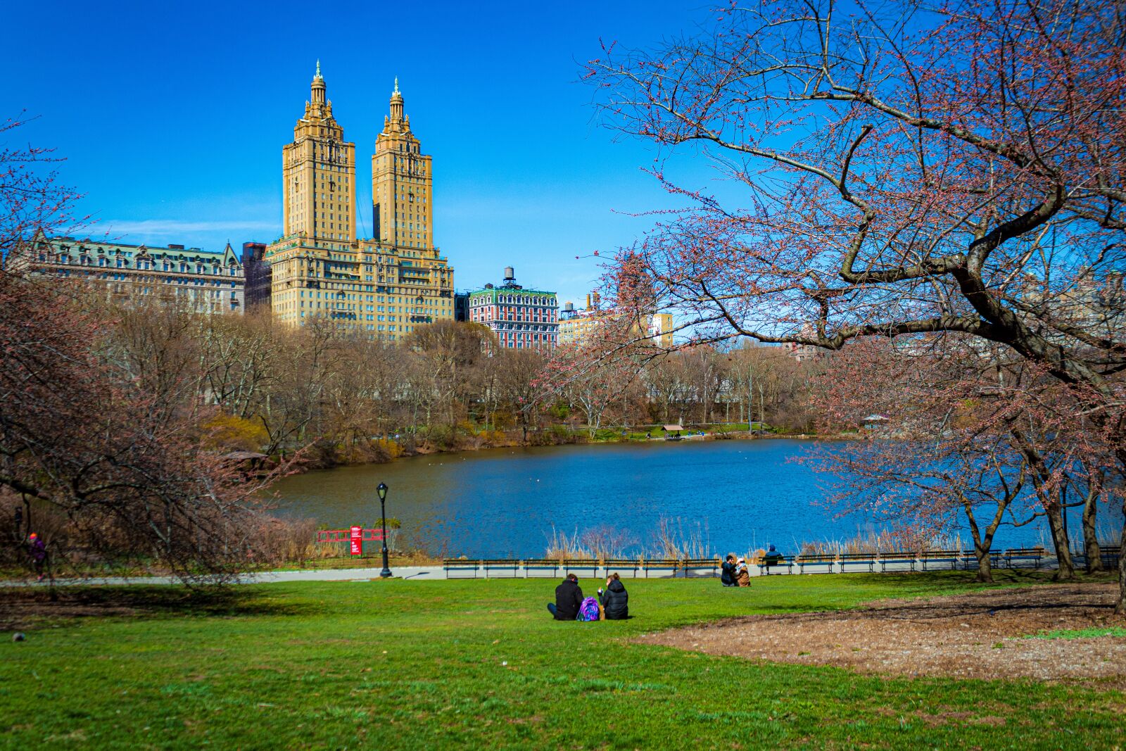 Canon EOS 1300D (EOS Rebel T6 / EOS Kiss X80) sample photo. New york, central park photography