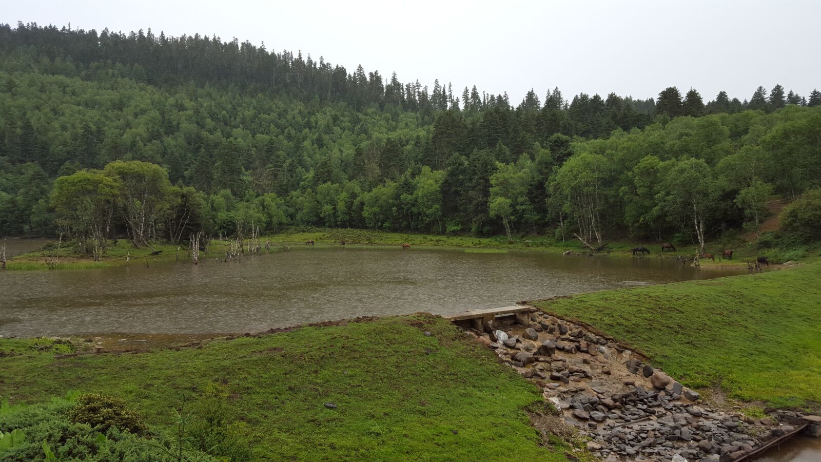 Samsung Galaxy S6 sample photo. Pirmeval forest, plateau, lake photography