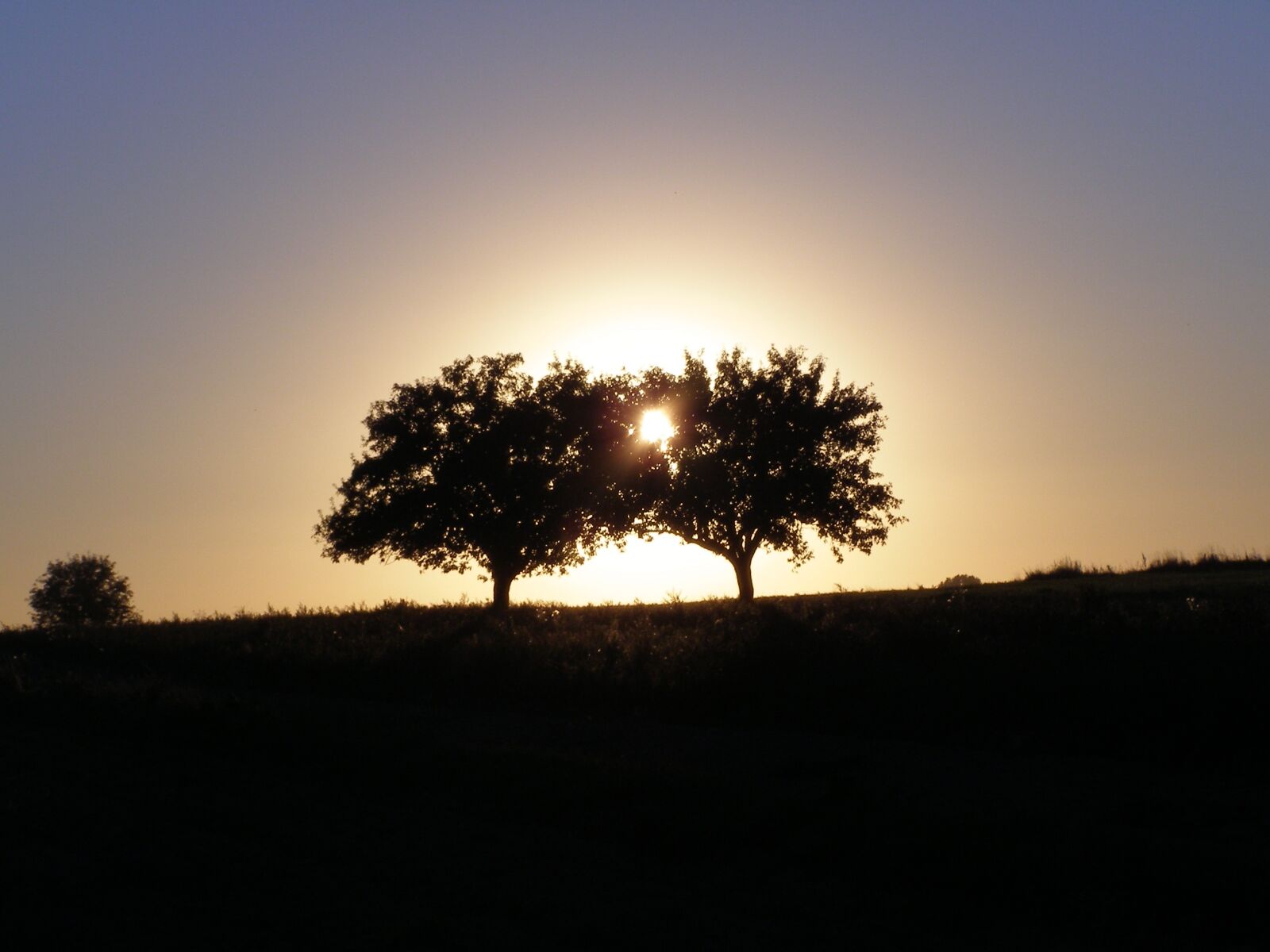 Olympus SP500UZ sample photo. Sunset, west, landscape photography