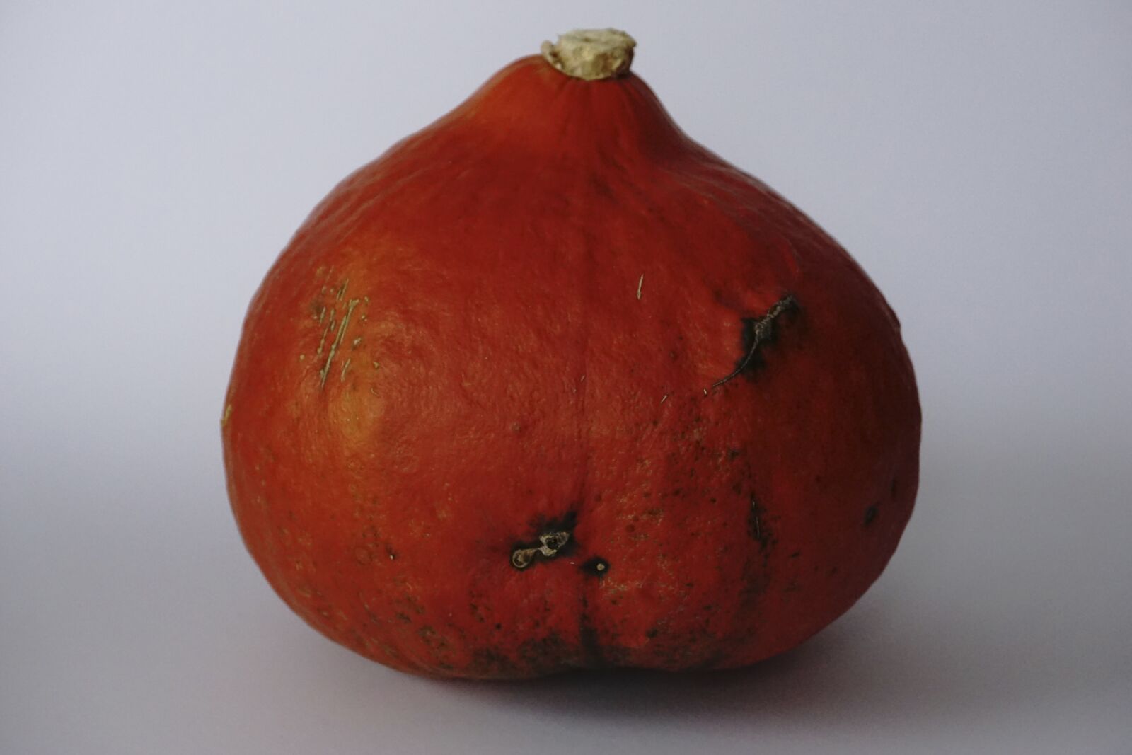 Sony E 18-50mm F4-5.6 sample photo. Pumpkin, vegetables, autumn motive photography